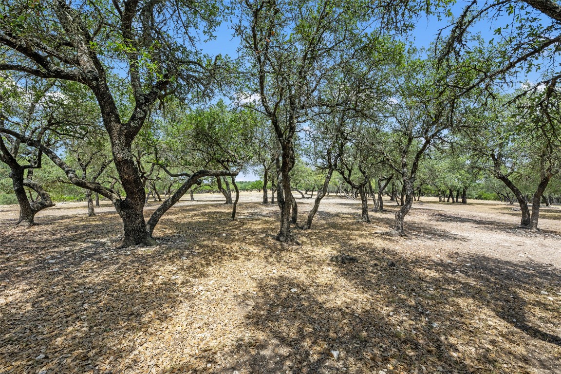 Dripping Springs, Texas, 78620, United States, ,Residential,For Sale,1940403