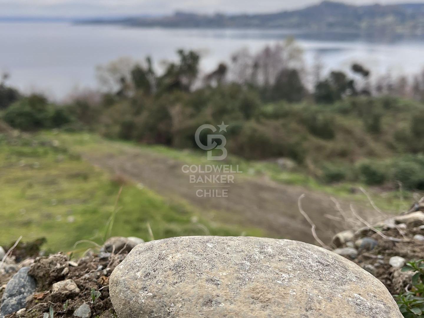 Futrono, Chile, ,Residential,For Sale,1913804