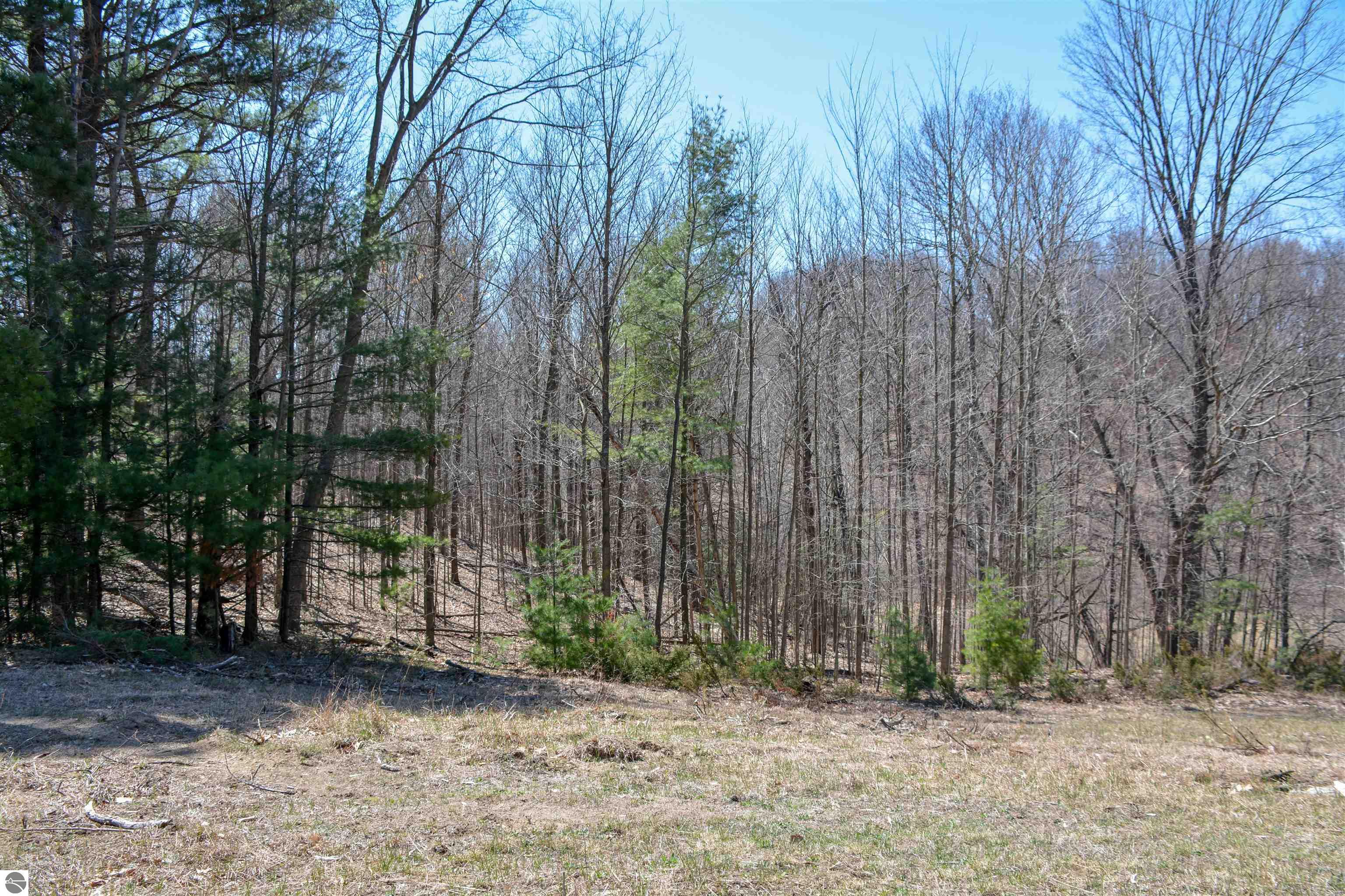 Traverse City, Michigan, 49696, United States, ,Land,For Sale,1850292