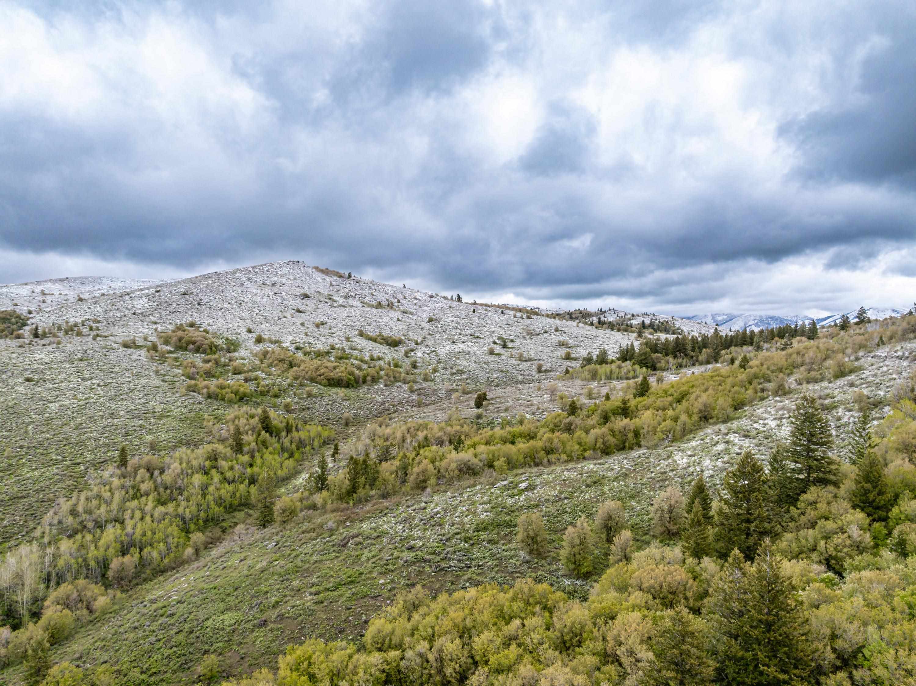 Pocatello, Idaho, 83202, United States, ,Residential,For Sale,1900816