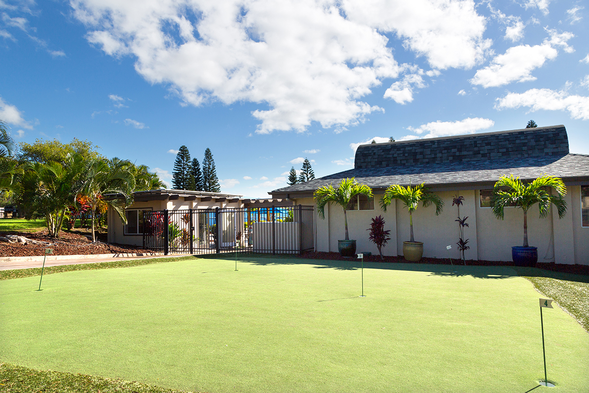 68-1745 WAIKOLOA RD C201, Waikoloa, Hawaii, 96738, United States, 2 Bedrooms Bedrooms, ,2 BathroomsBathrooms,Residential,For Sale,68-1745 WAIKOLOA RD C201,1639218