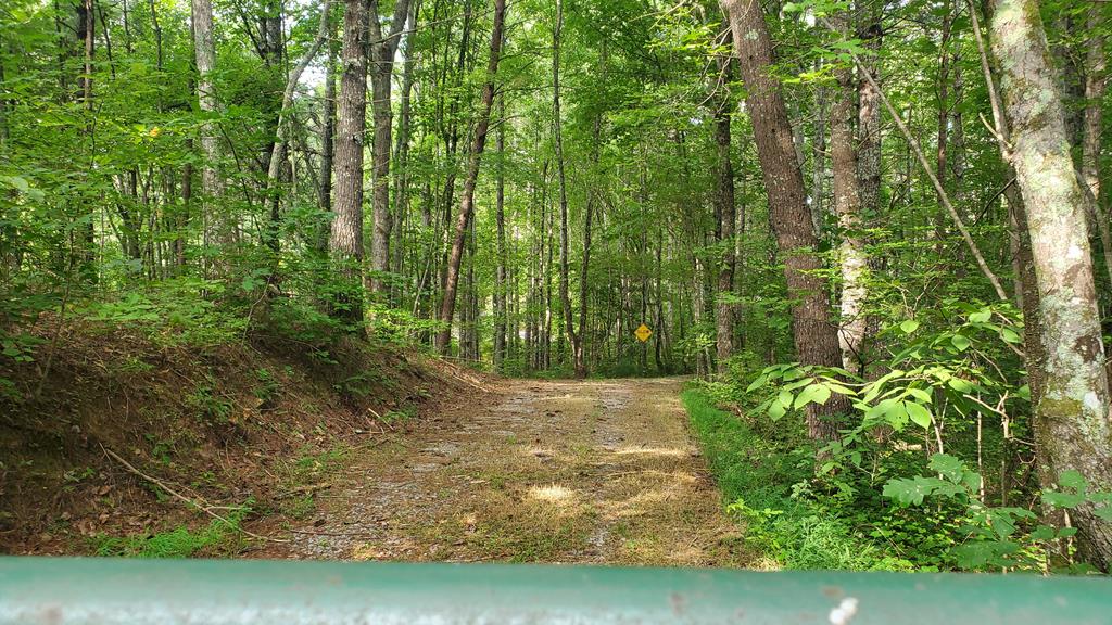 Reliance, Tennessee, 37369, United States, 3 Bedrooms Bedrooms, ,2 BathroomsBathrooms,Residential,For Sale,1985827