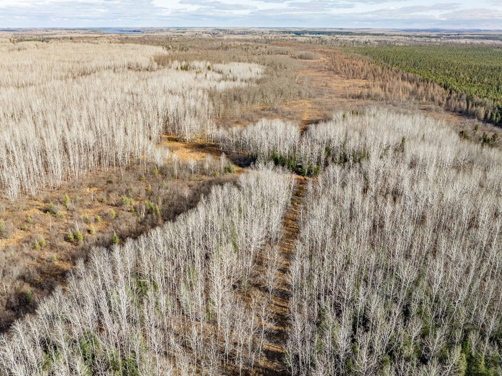 Grand Rapids, Minnesota, 55744, United States, ,Land,For Sale,1983791