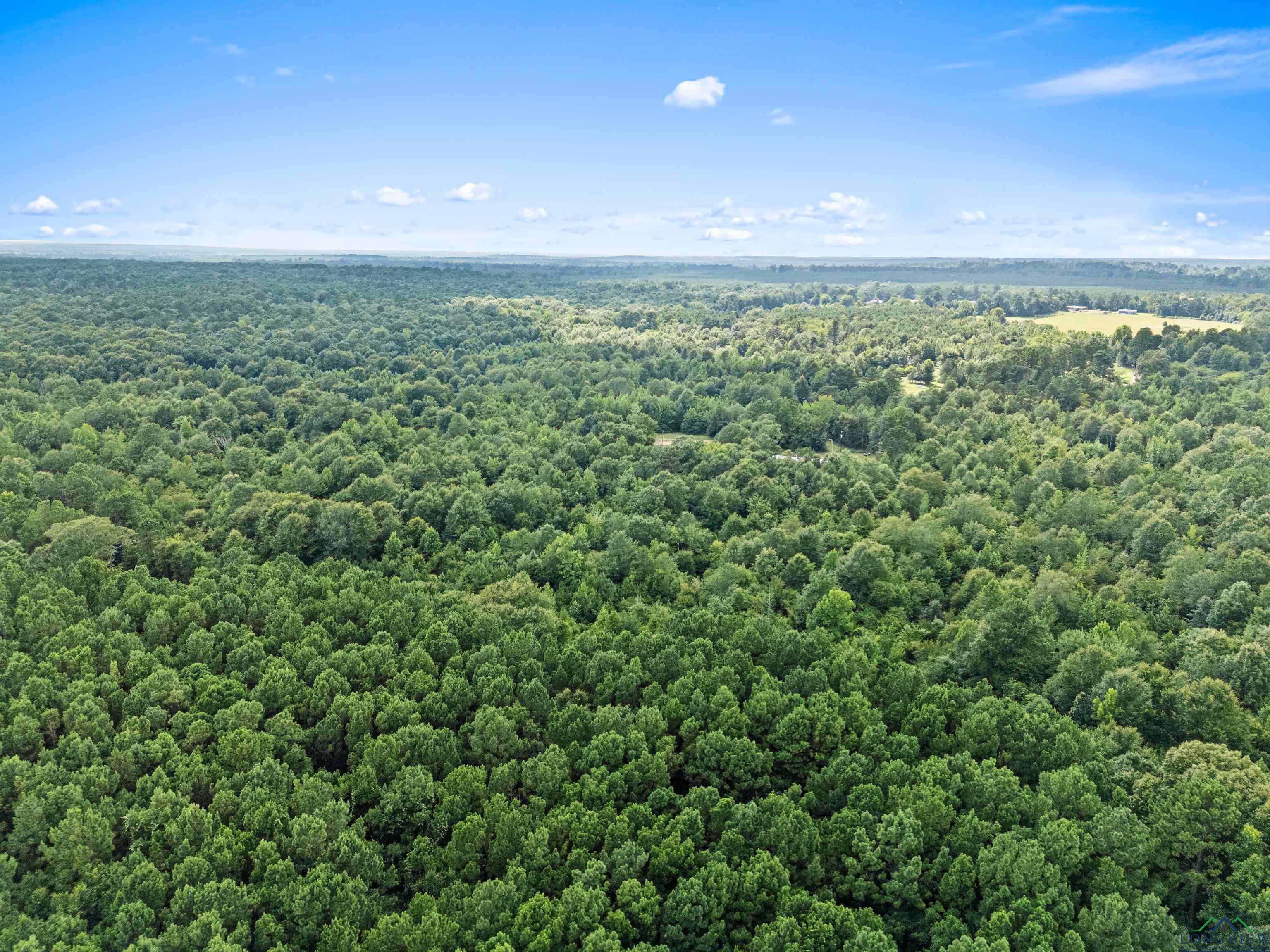 Jefferson, Texas, 75657, United States, ,Land,For Sale,1890245