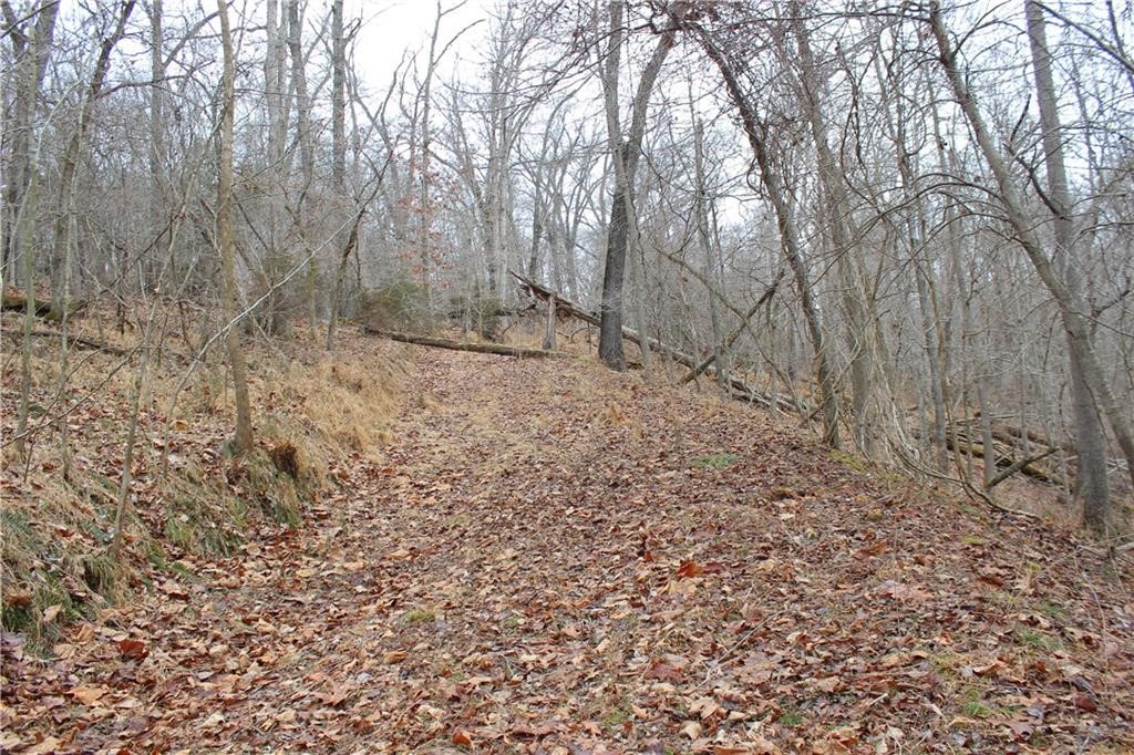 Rogers, Arkansas, 72756, United States, ,Land,For Sale,1966803