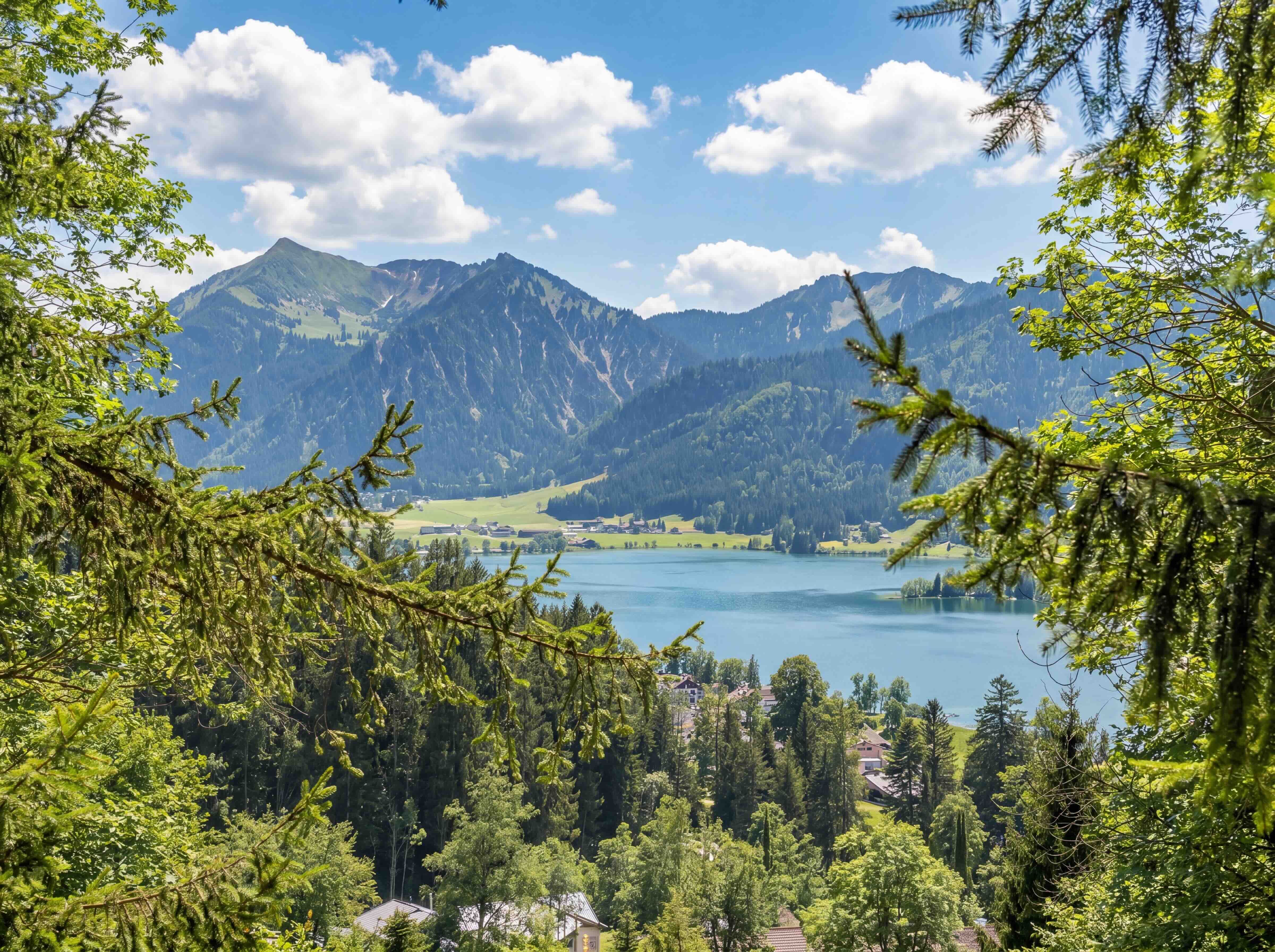  Idyll high above the lake - 物件實景