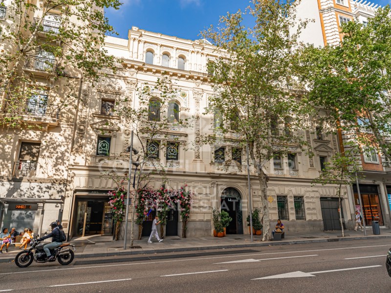 Madrid, Madrid, Barrio de Salamanca, Castellana Ma, Madrid, Comunidad de Madrid, ES, 5 Bedrooms Bedrooms, ,6 BathroomsBathrooms,Residential,For Sale,Madrid, Madrid, Barrio de Salamanca, Castellana Ma,1670333