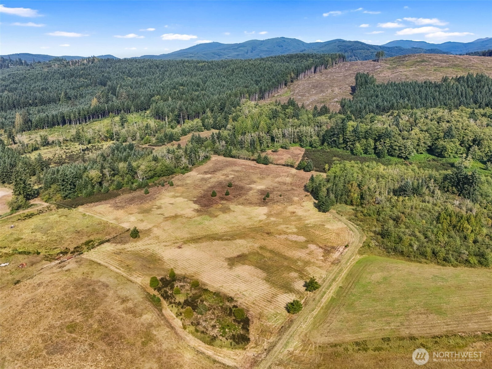 Onalaska, Washington, 98570, United States, ,Land,For Sale,1994245