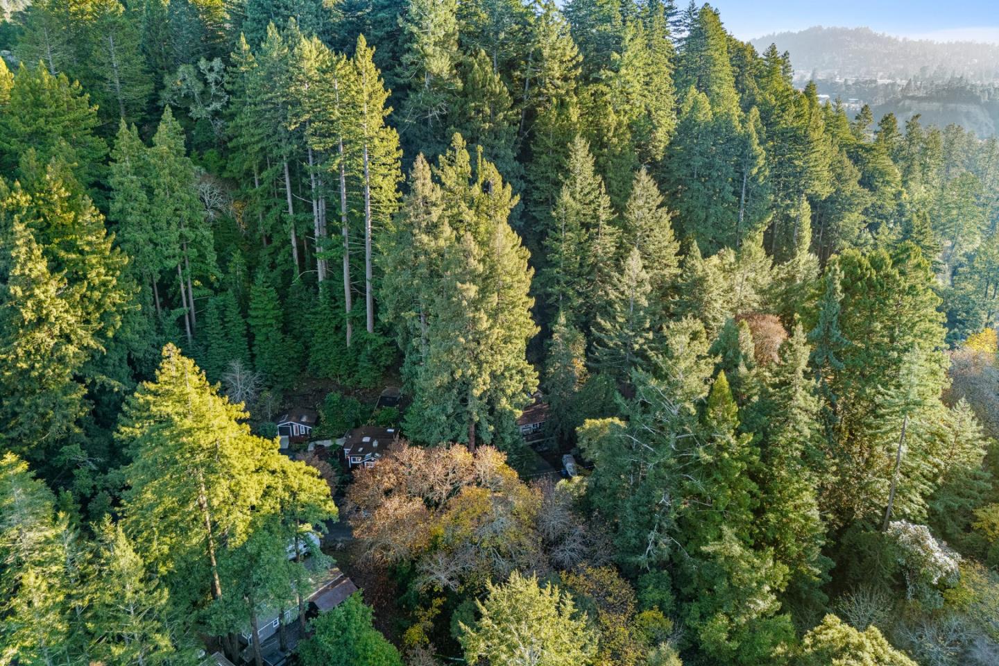 Scotts Valley, California, 95066, United States, 1 Bedroom Bedrooms, ,1 BathroomBathrooms,Residential,For Sale,2002288