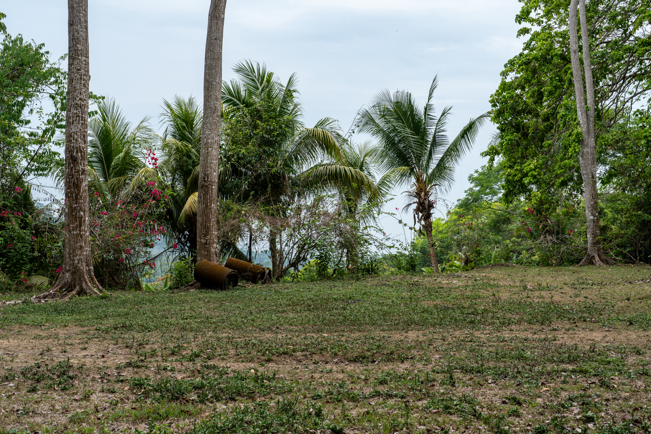 Lagunas, Dominical, Puntarenas, CR, 2 Bedrooms Bedrooms, ,1 BathroomBathrooms,Land,For Sale,Lagunas,1589118