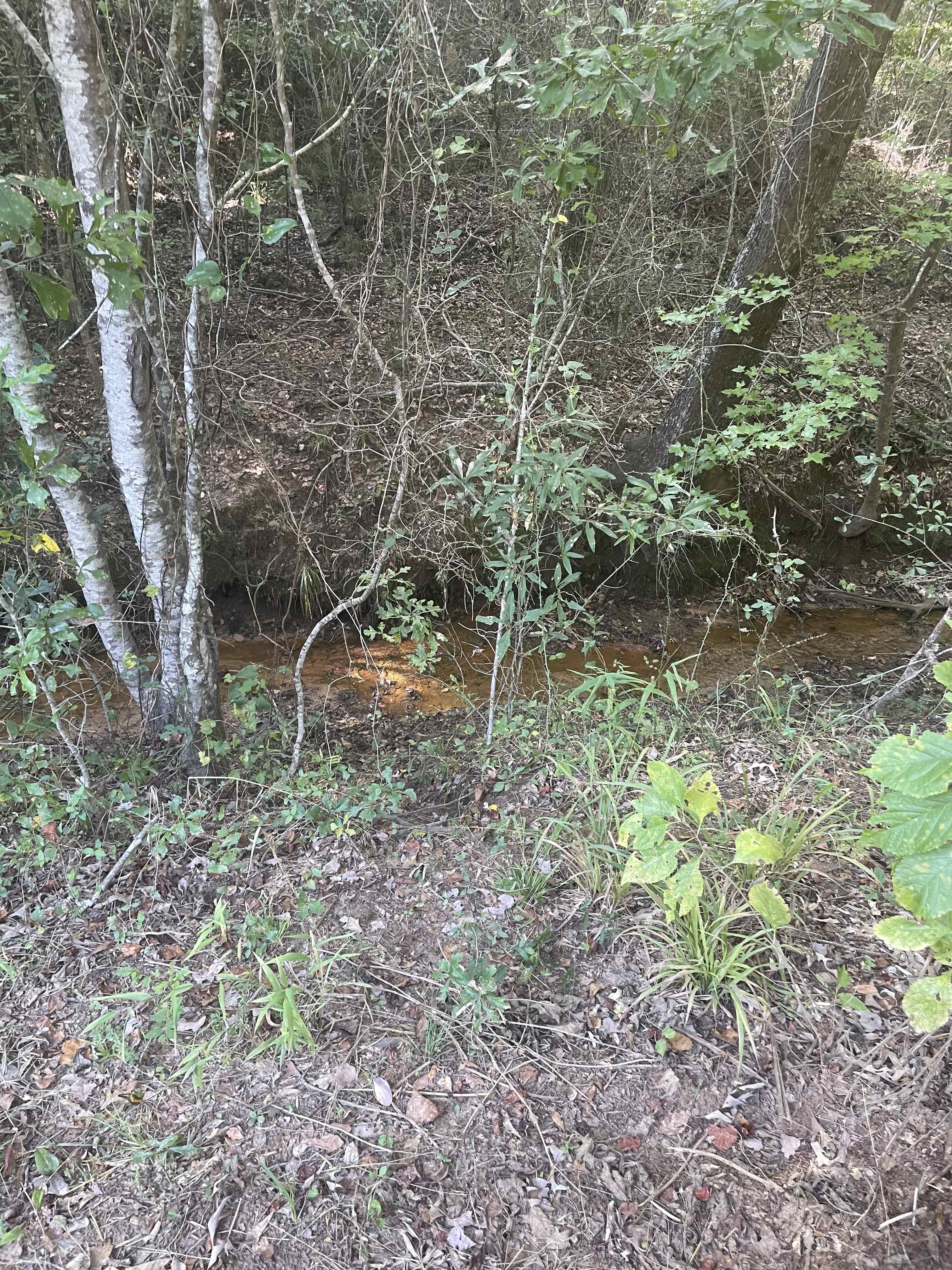 Jacksonville, Texas, 75766, United States, 4 Bedrooms Bedrooms, ,2 BathroomsBathrooms,Residential,For Sale,1974888