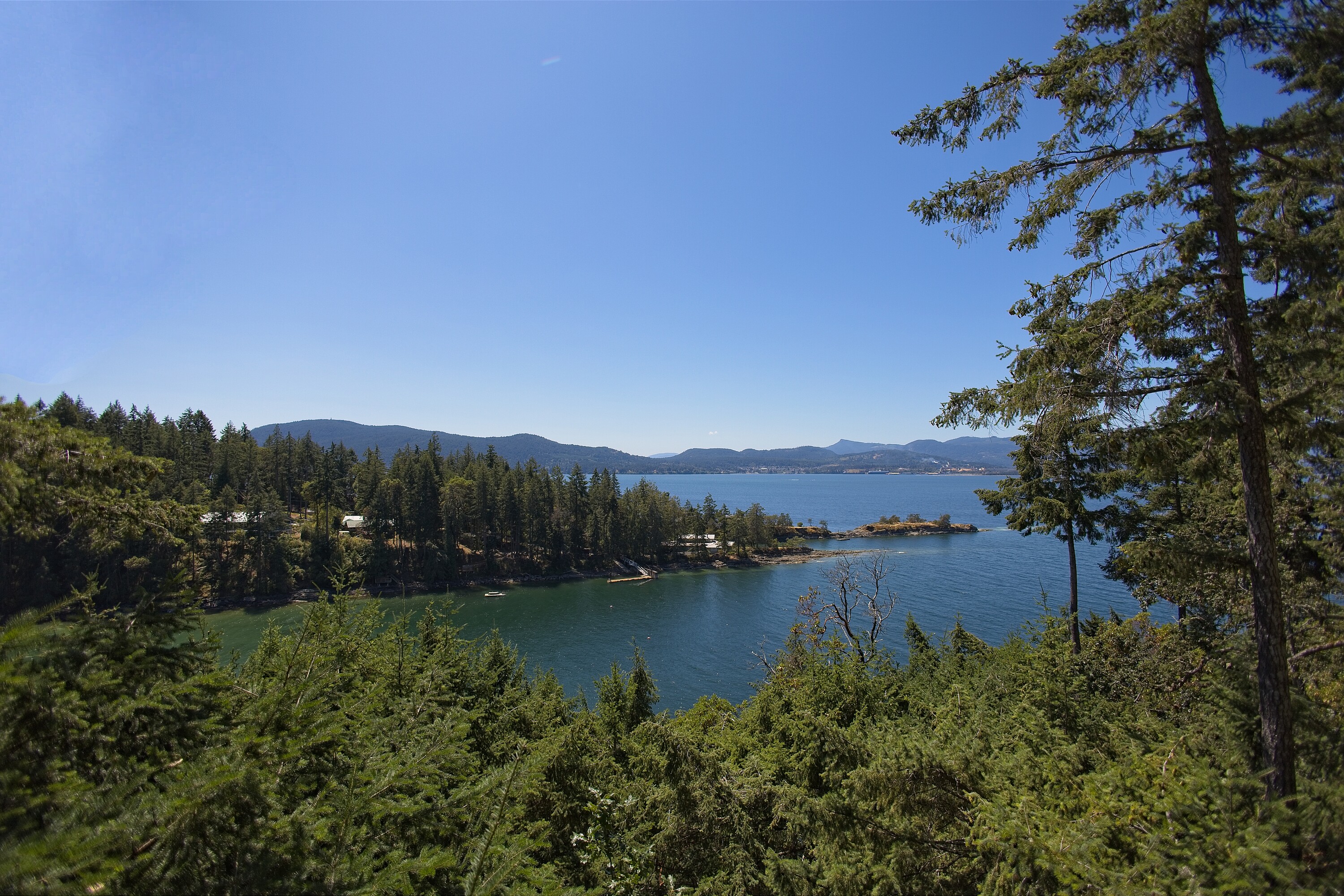  Firefly Cottage - 物件實景