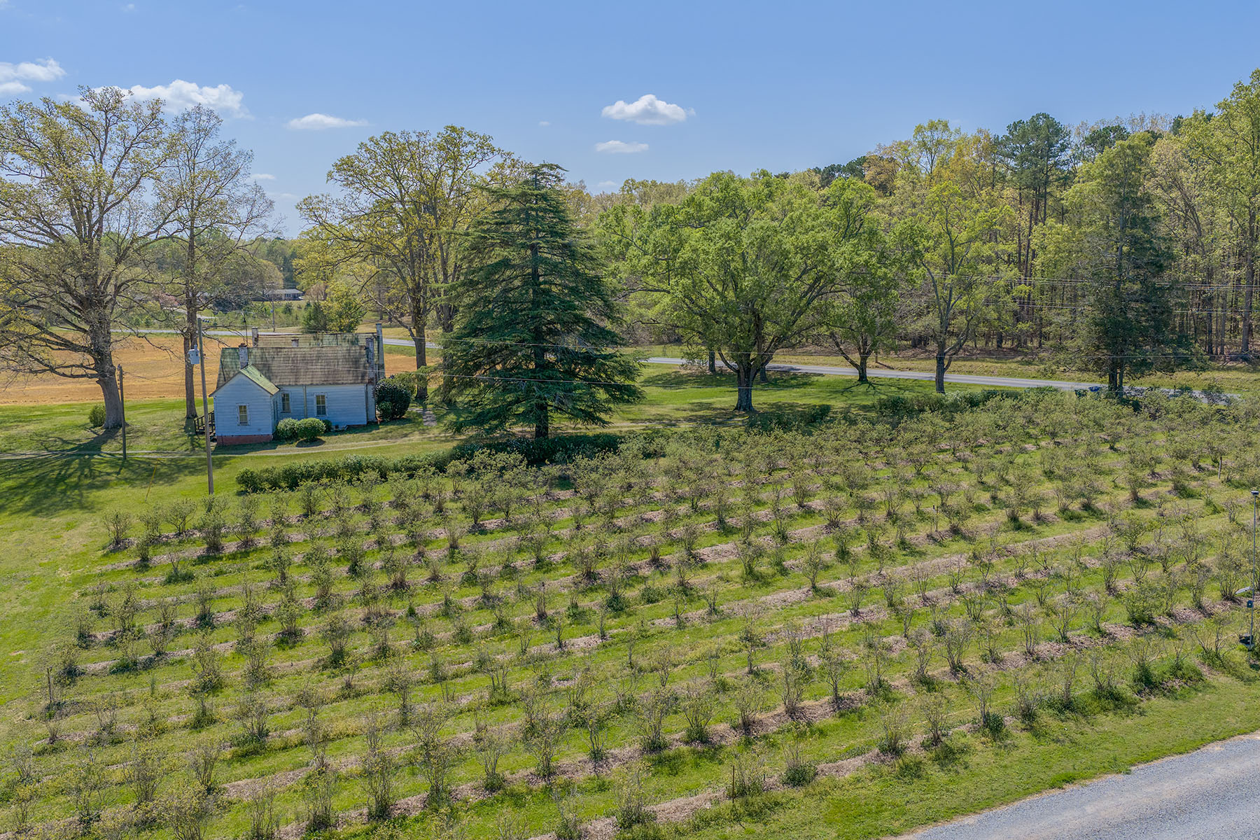  Albemarle - 物件實景