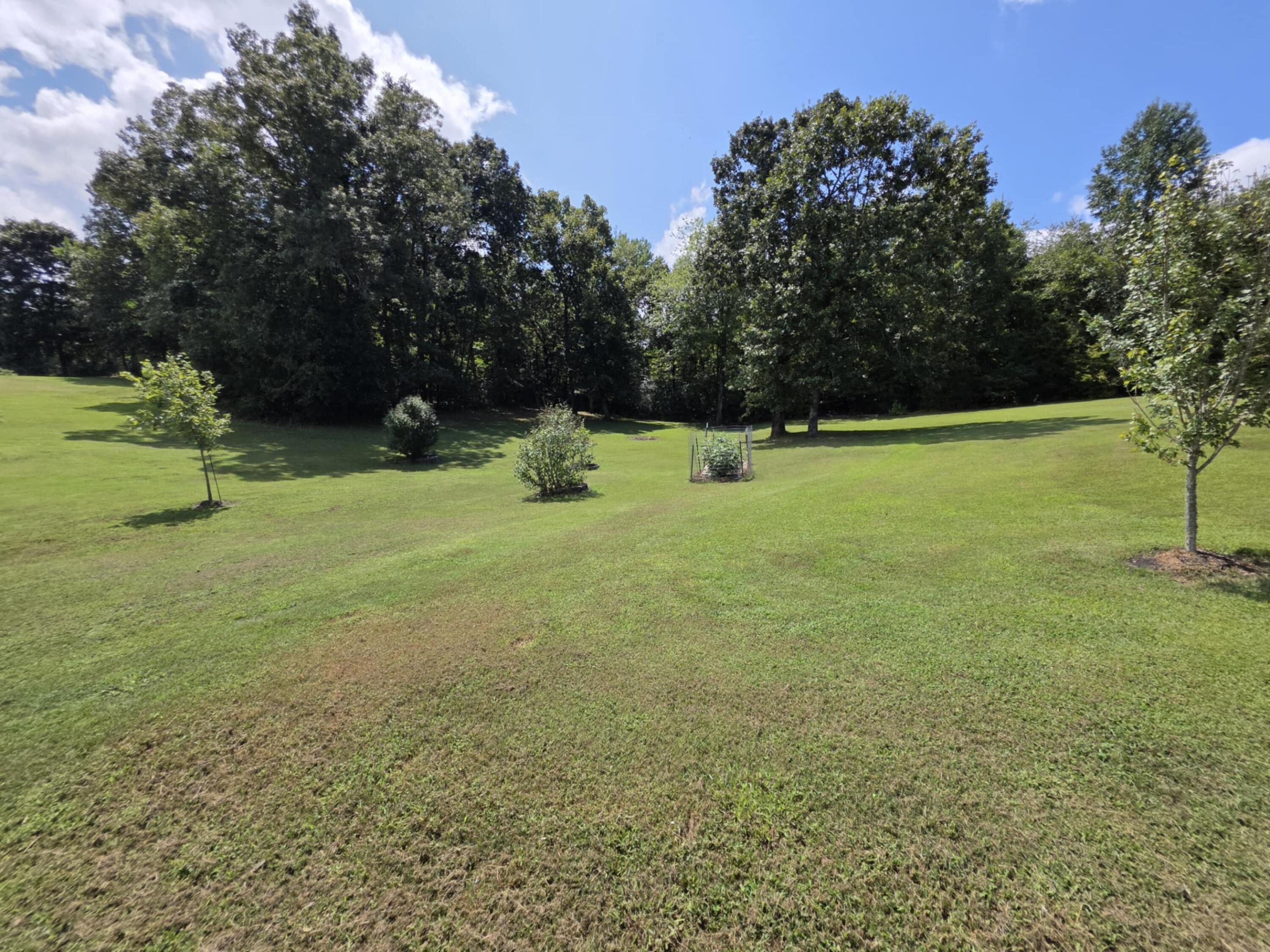 Spring City, Tennessee, 37381, United States, 4 Bedrooms Bedrooms, ,3 BathroomsBathrooms,Residential,For Sale,1927411