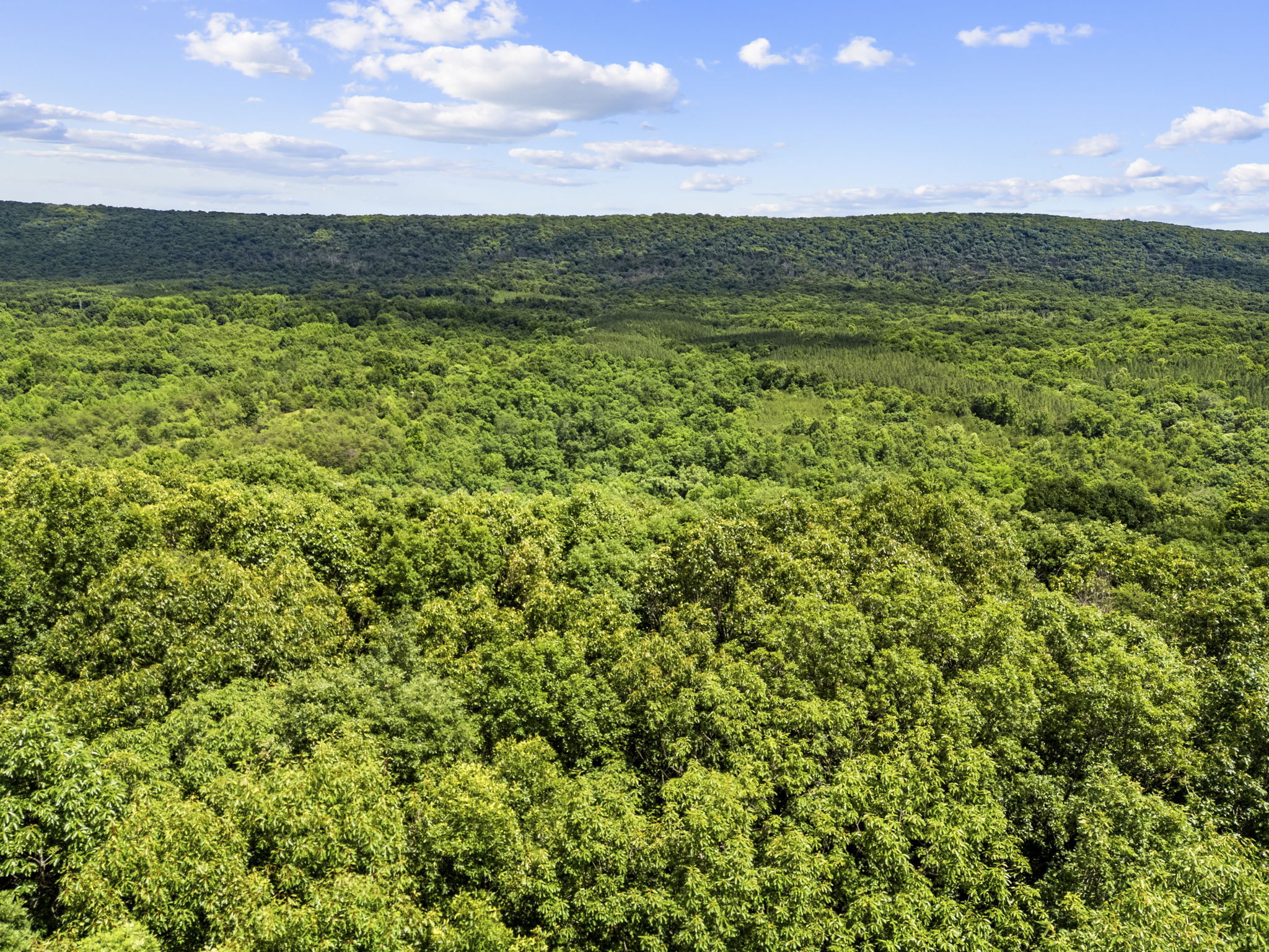  310 Red Gate Retreat Way, Berkeley Springs, WV 25411 - 物件實景
