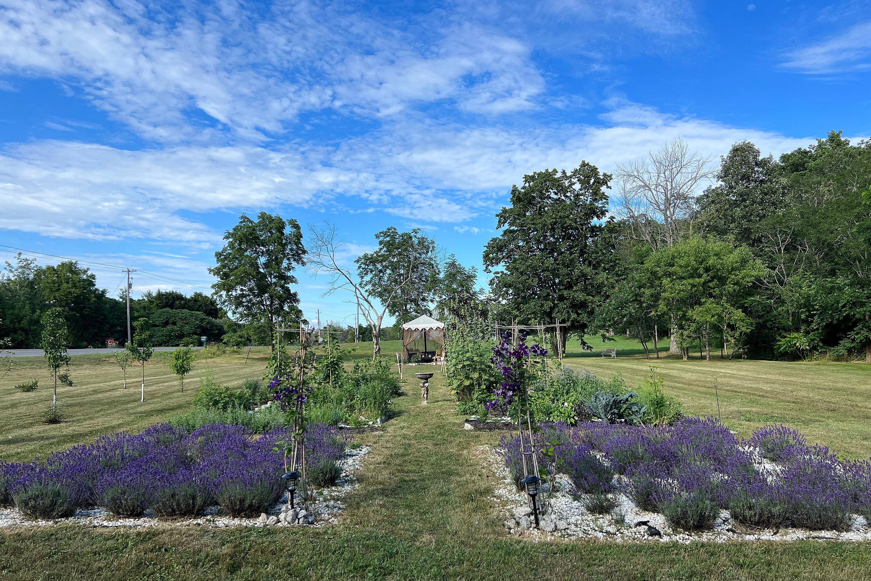  Prince Edward County - 物件實景
