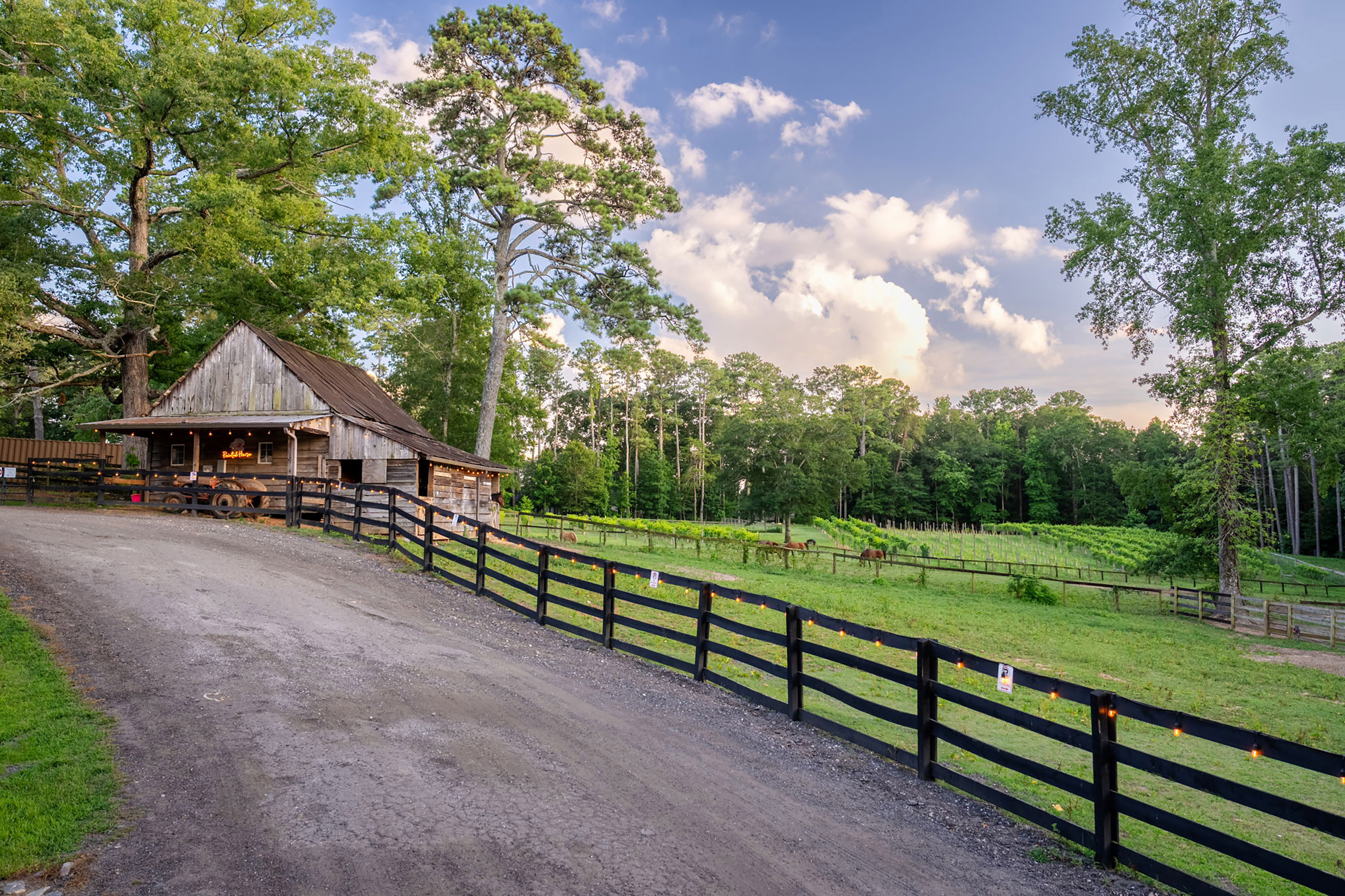  Nestled on a Private Homesite in Highly Sought-After Providence Lake Community - 物件實景