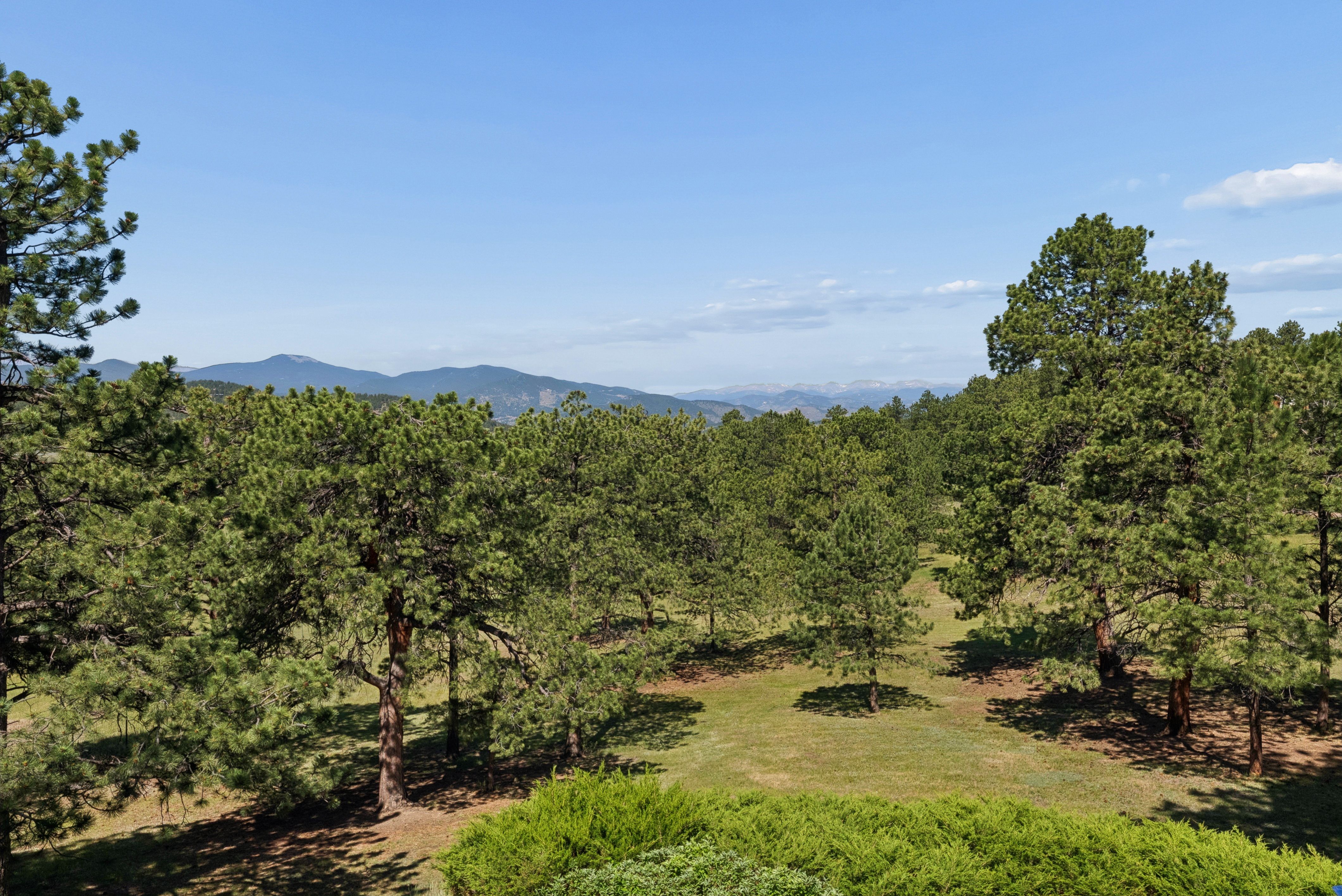  Custom Built on Over Five Acres - 物件實景
