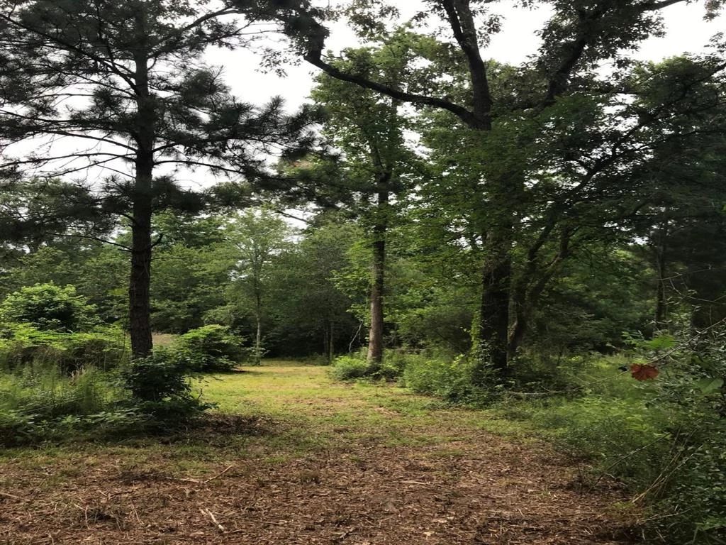 26150 Grand Pines Road, Magnolia, Texas, 77355, United States, ,Land,For Sale,26150 Grand Pines Road,1609479