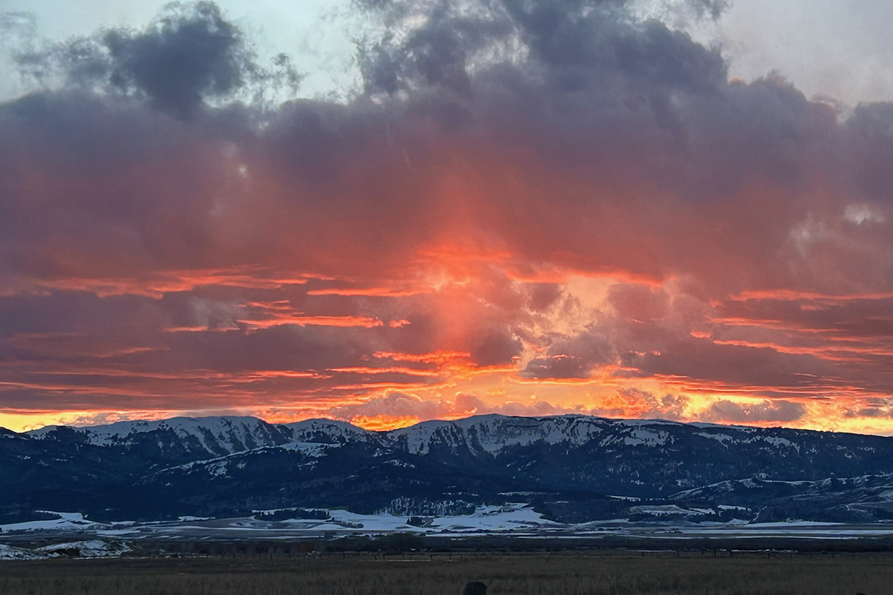  Hubbard Way - 物件實景