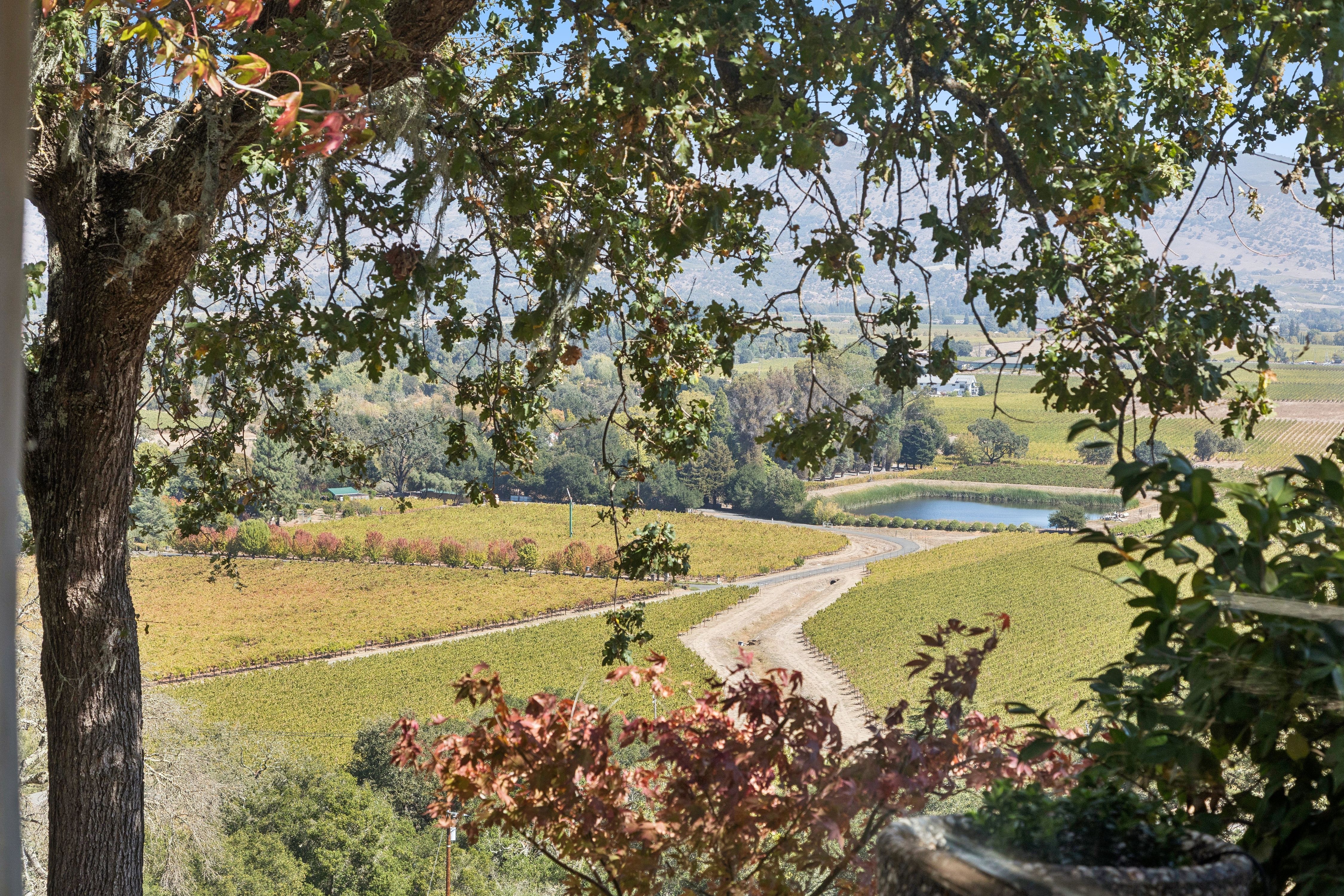  Exceptional Napa Valley Legacy Property - 物件實景