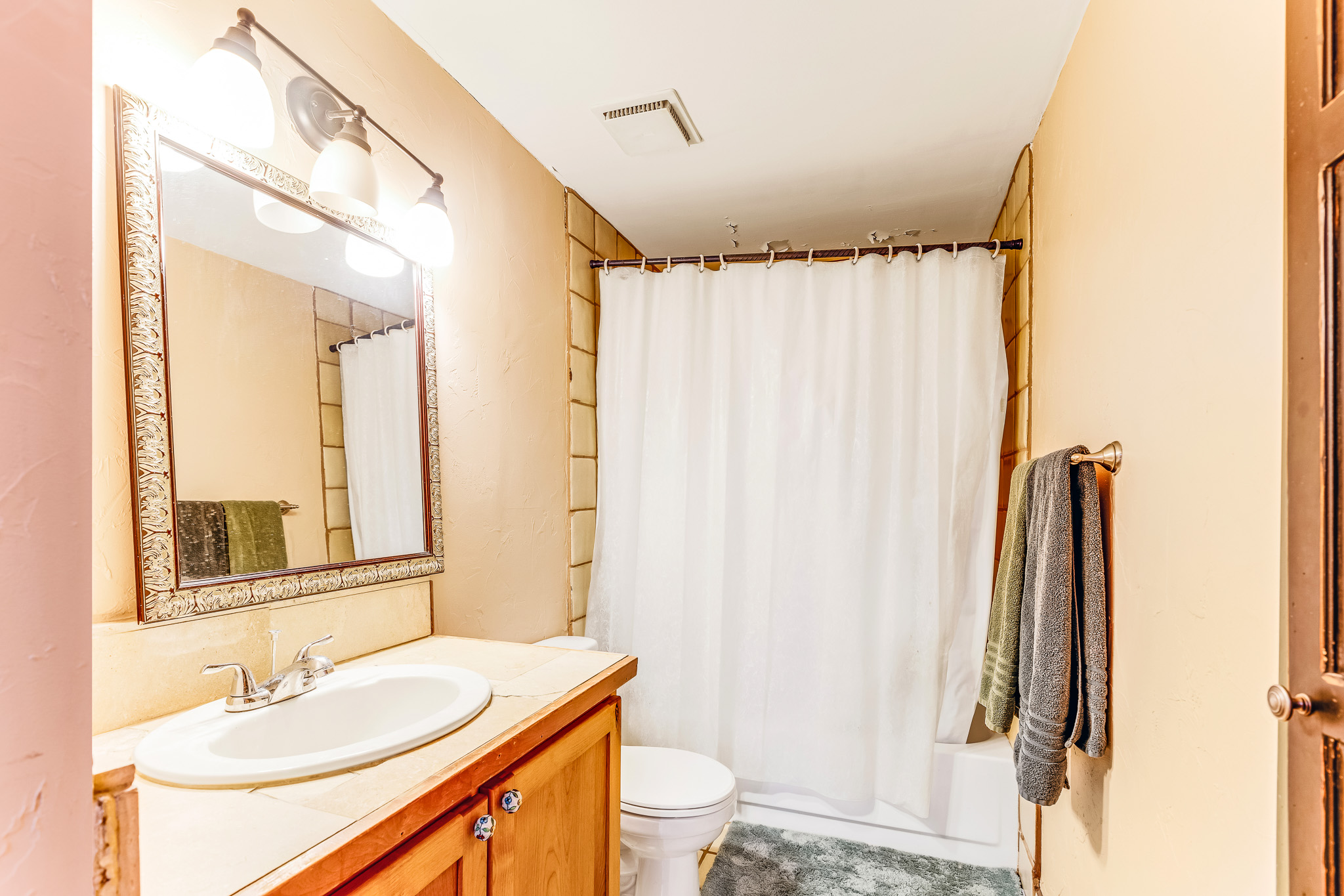  29 S Oak Street, Alma, CO, 80420 - 物件實景