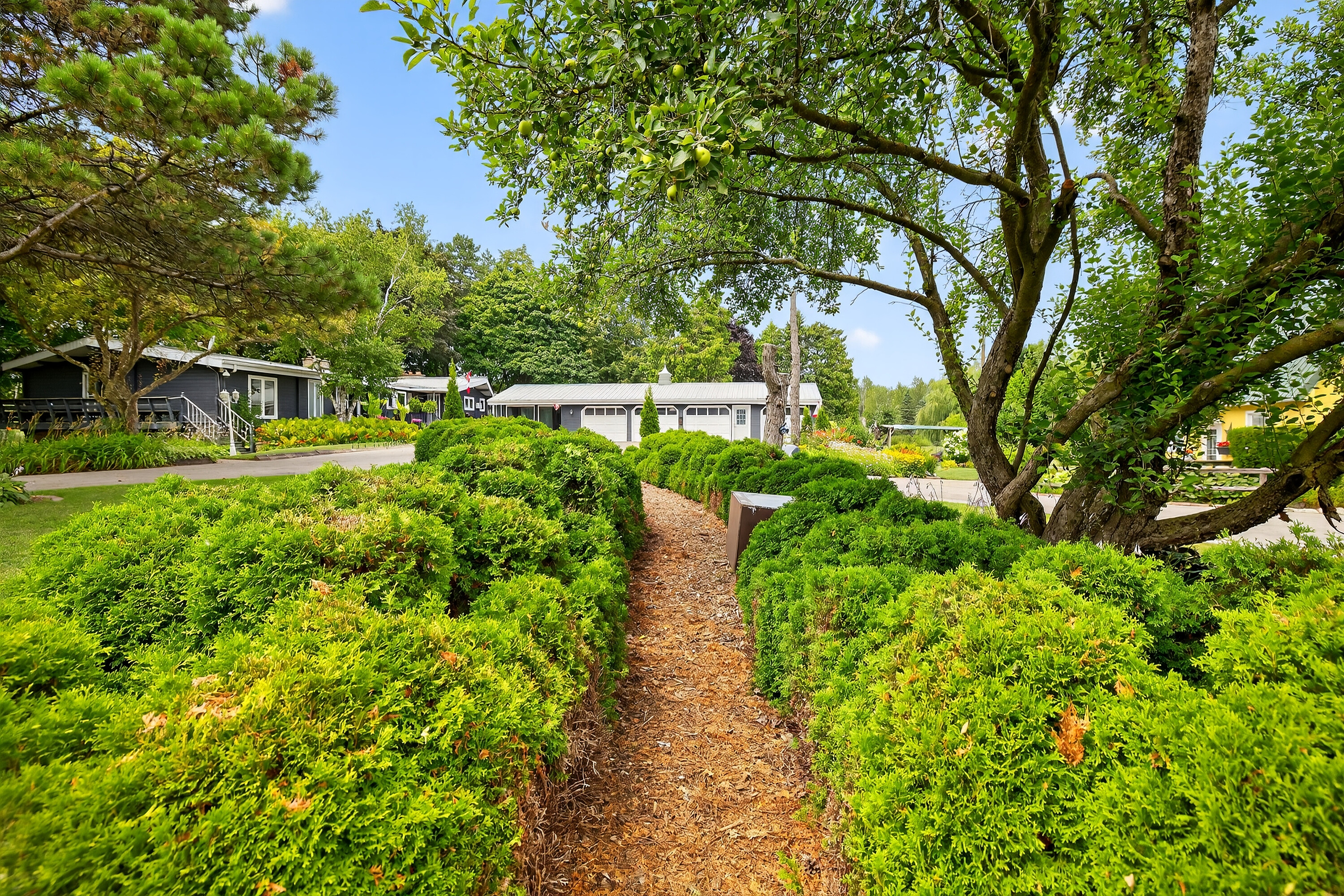  Multi-Residential Estate - 物件實景