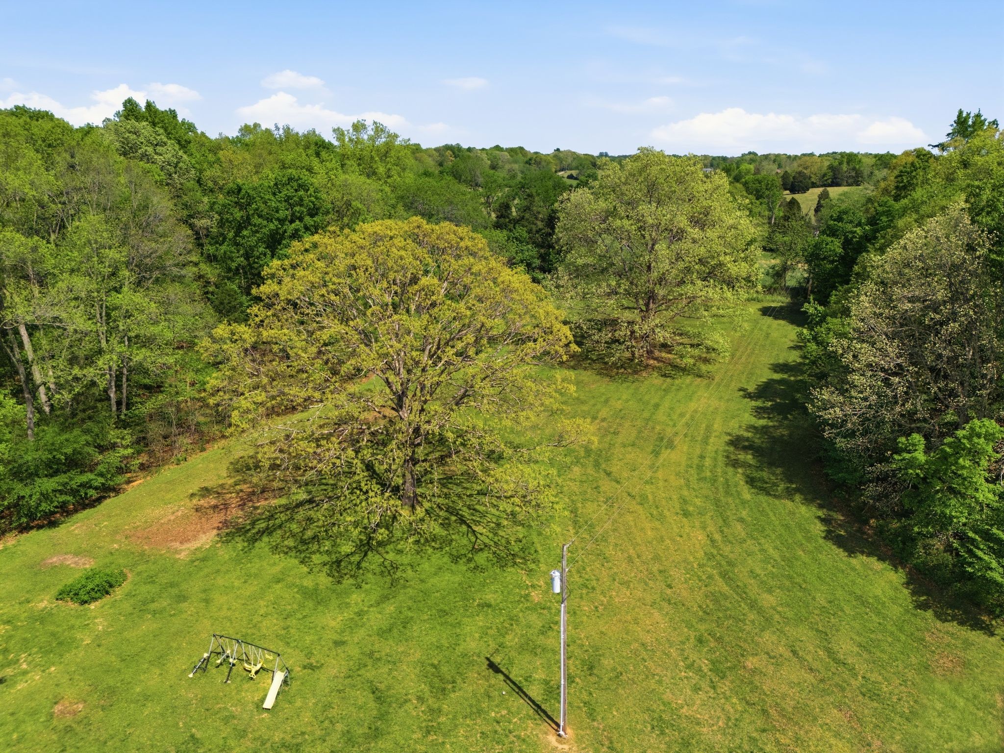  985 Furnace Hollow Road, Dickson, TN, 37055 - 物件實景