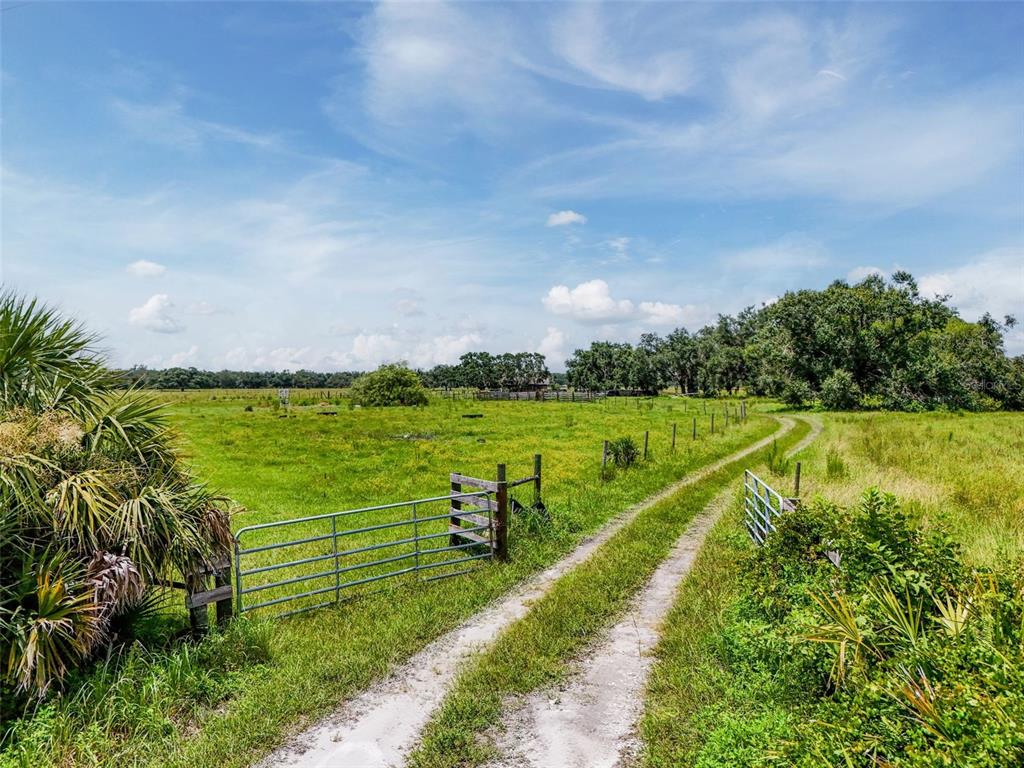 Myakka City, Florida, 34251, United States, ,Land,For Sale,1908306
