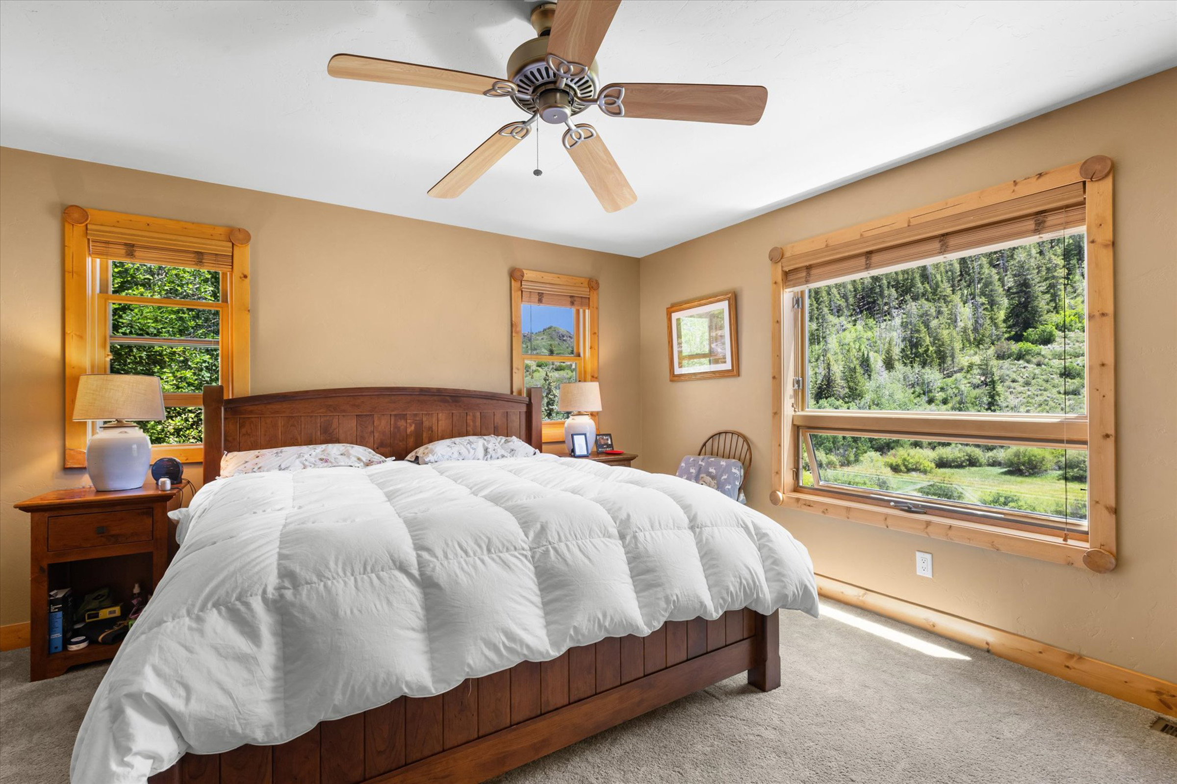  30390 Coyote Run Court, Oak Creek, CO, 80467 - 物件實景