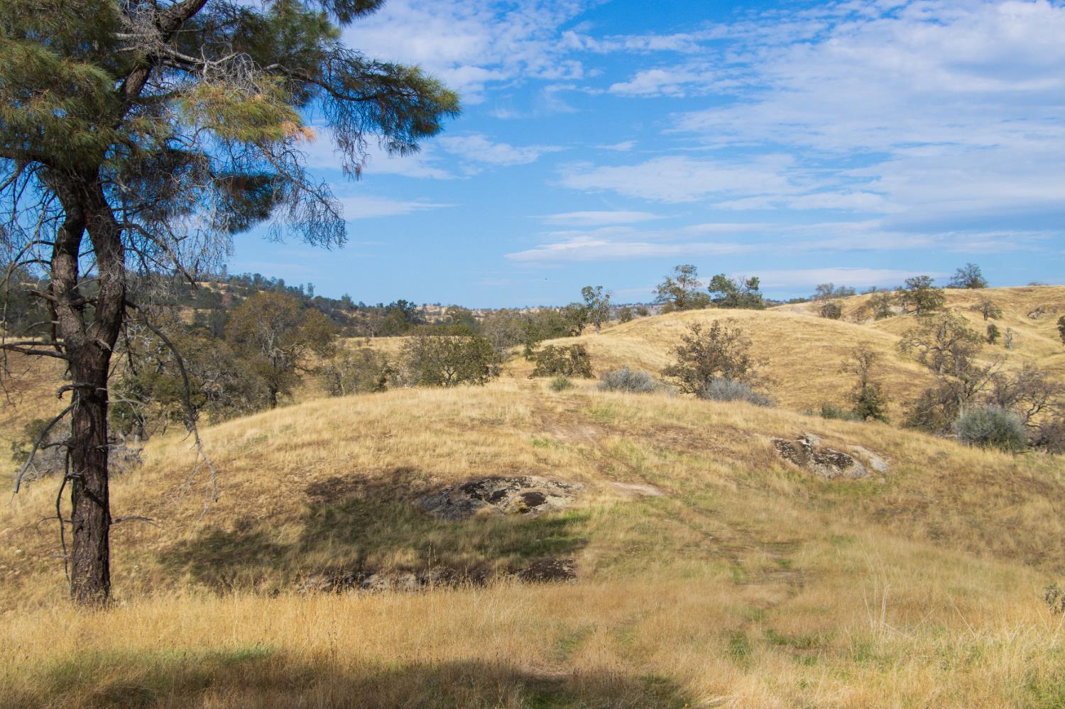 Coarsegold, California, 93614, United States, ,Residential,For Sale,2006211