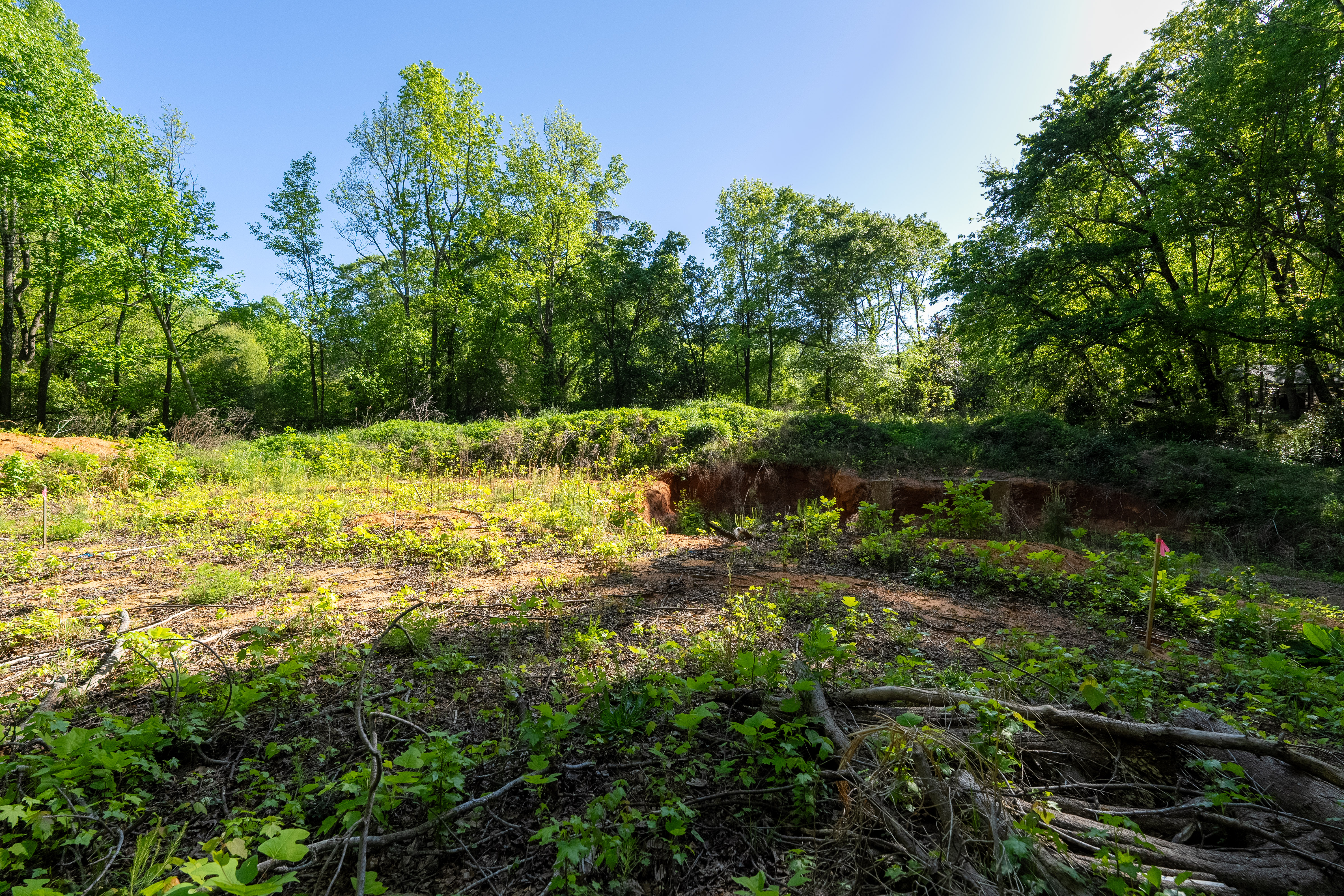  6 Stratton Place, Greenville, SC 29615 - 物件實景