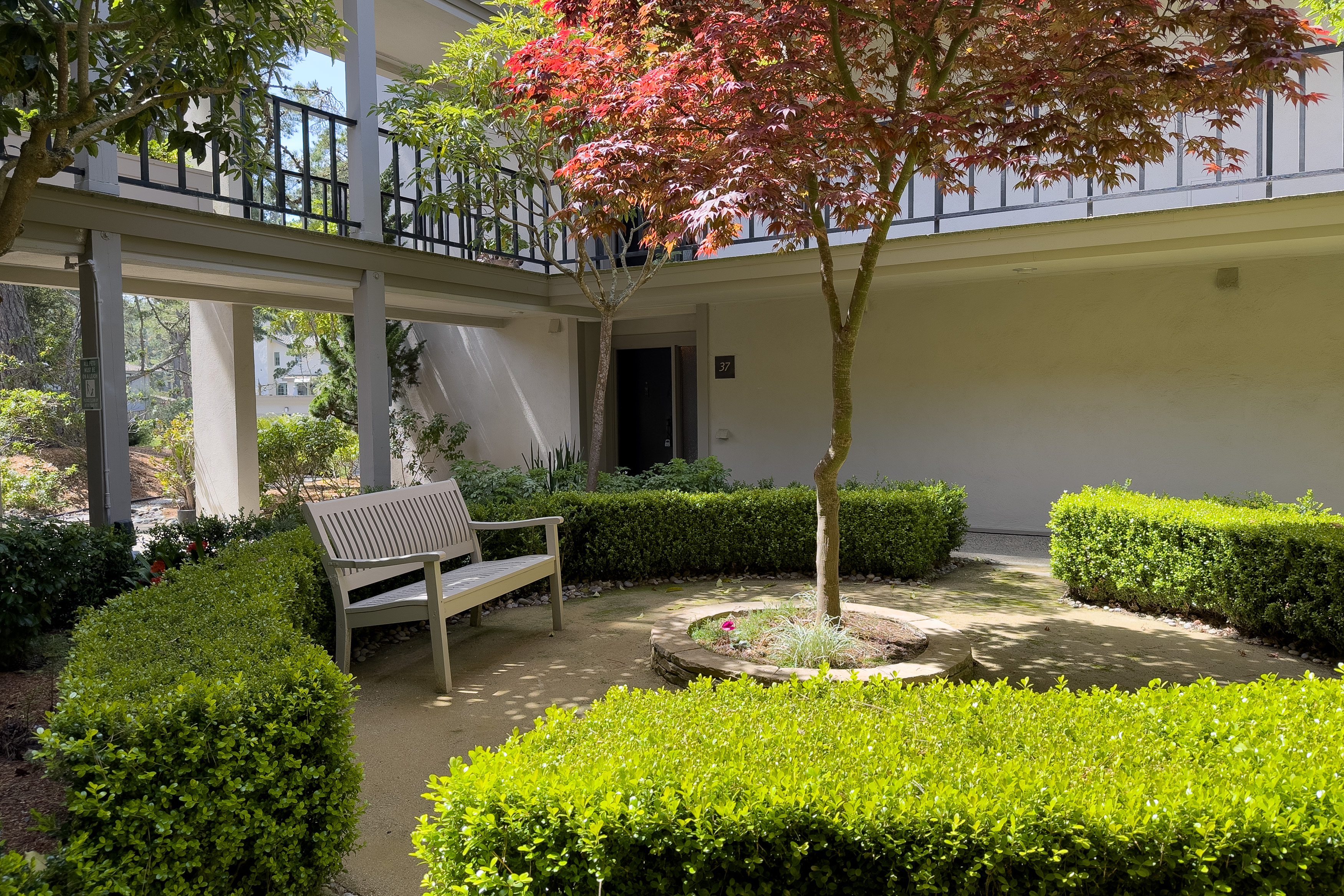  37 Ocean Pines Lane, Pebble Beach - 物件實景