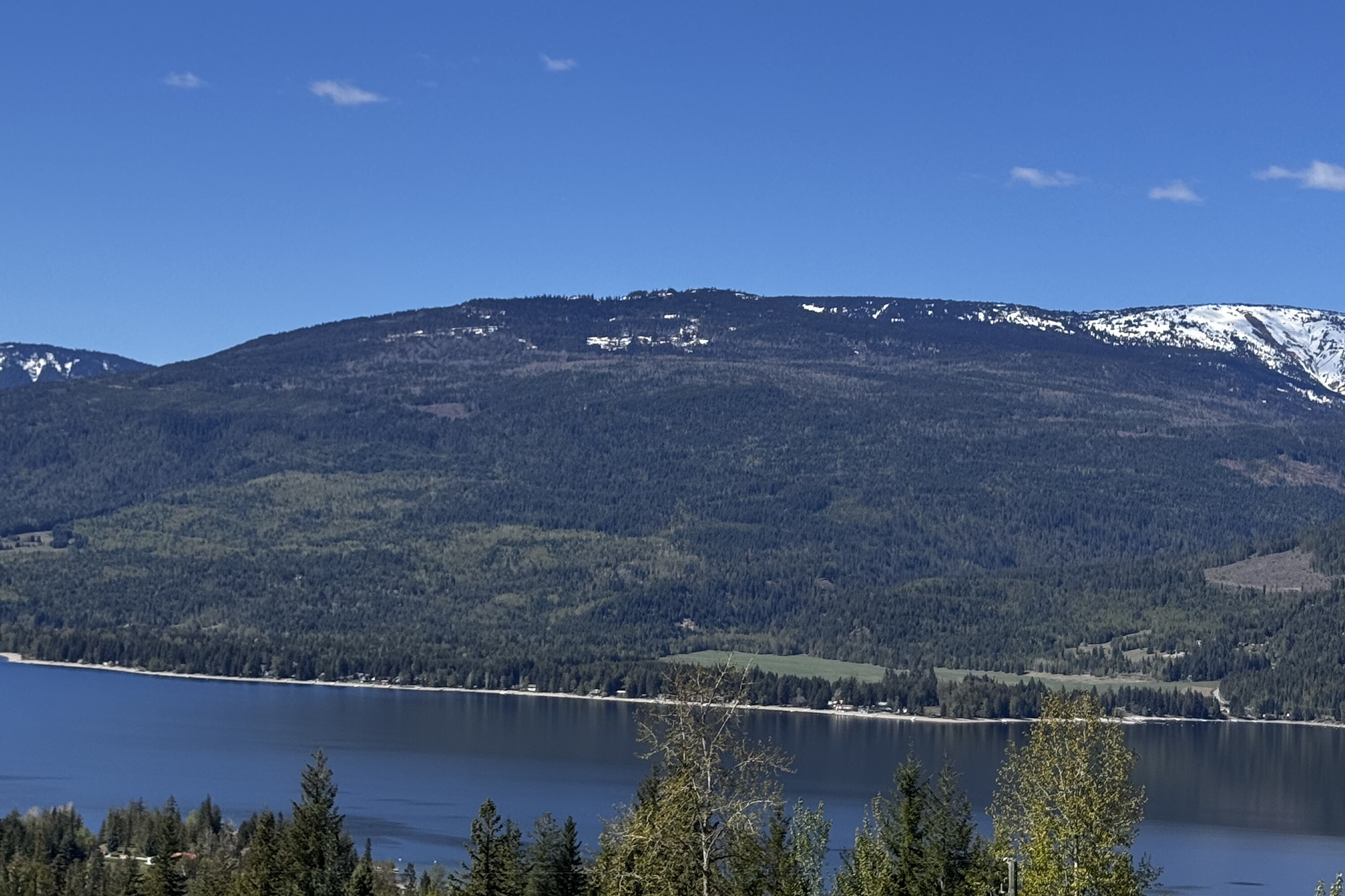  Exceptional Lakeview - 物件實景