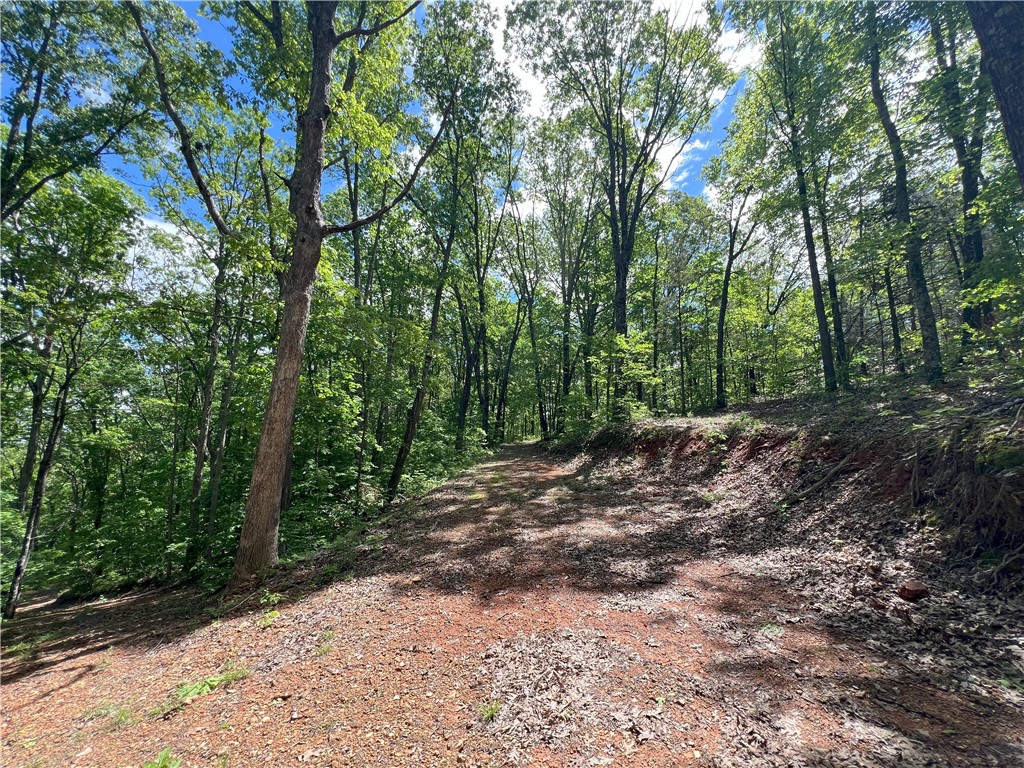 Garfield, Arkansas, 72732, United States, ,Land,For Sale,1804669