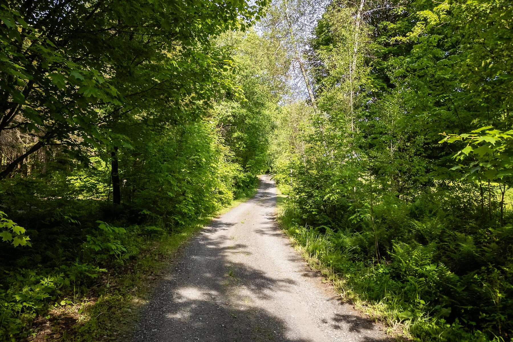  Sutton, Eastern Townships - 物件實景