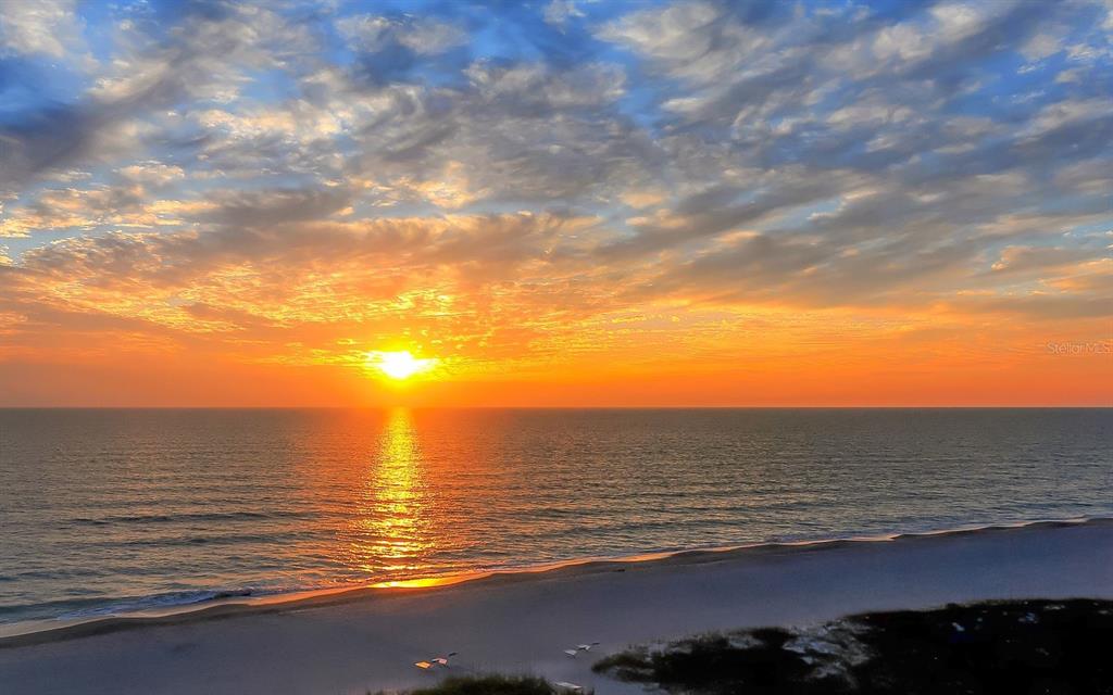 Sarasota, Florida, 34242, United States, 2 Bedrooms Bedrooms, ,2 BathroomsBathrooms,Residential,For Sale,1926172