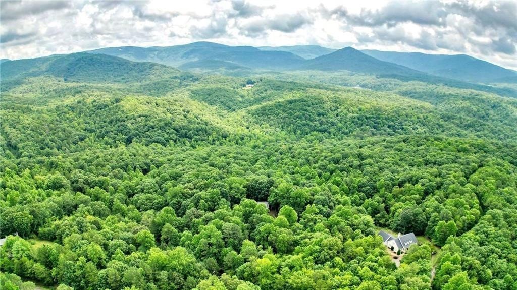 Jasper, Georgia, 30143, United States, ,Land,For Sale,1976881