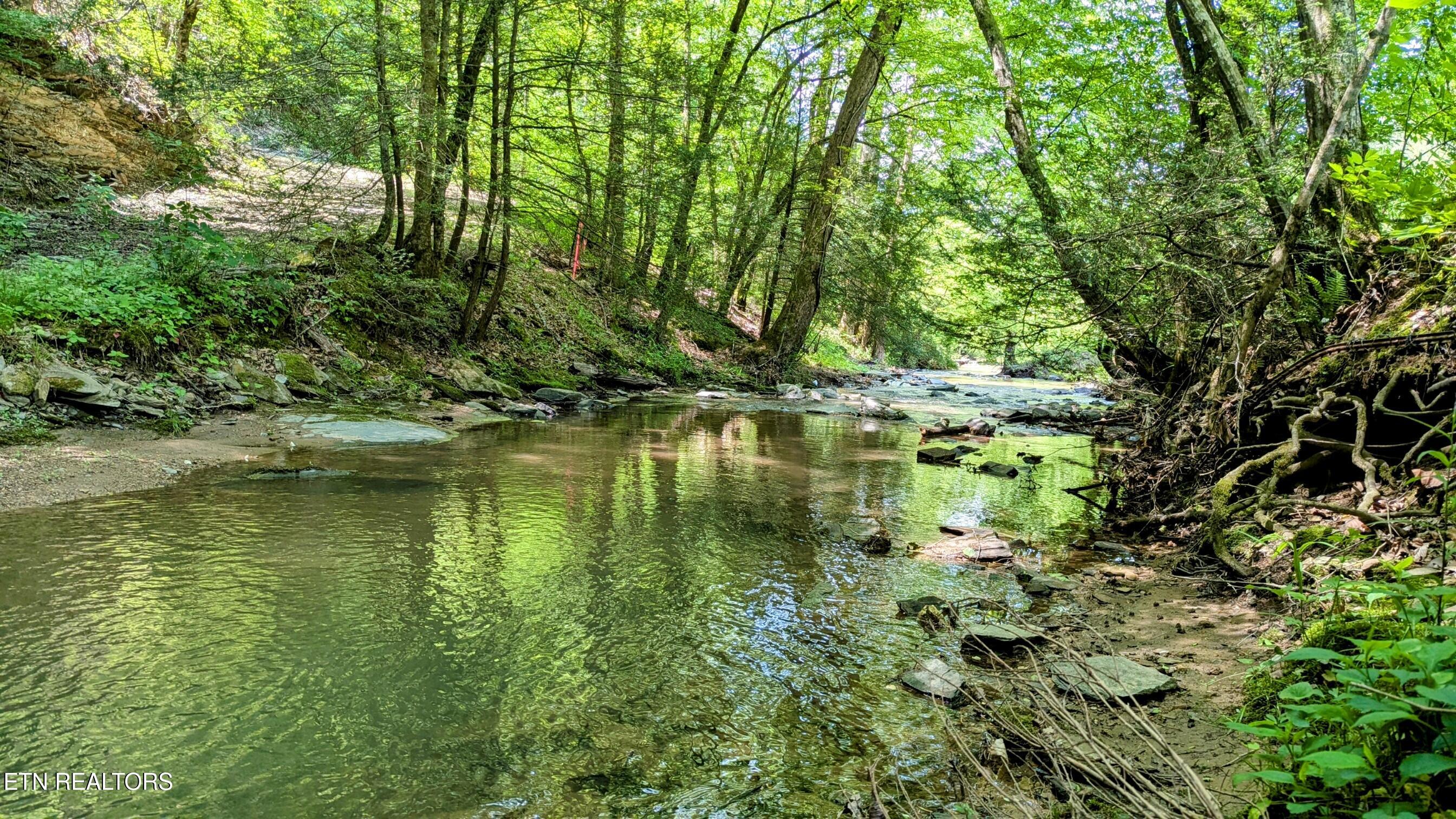 Townsend, Tennessee, 37882, United States, ,Land,For Sale,1978973