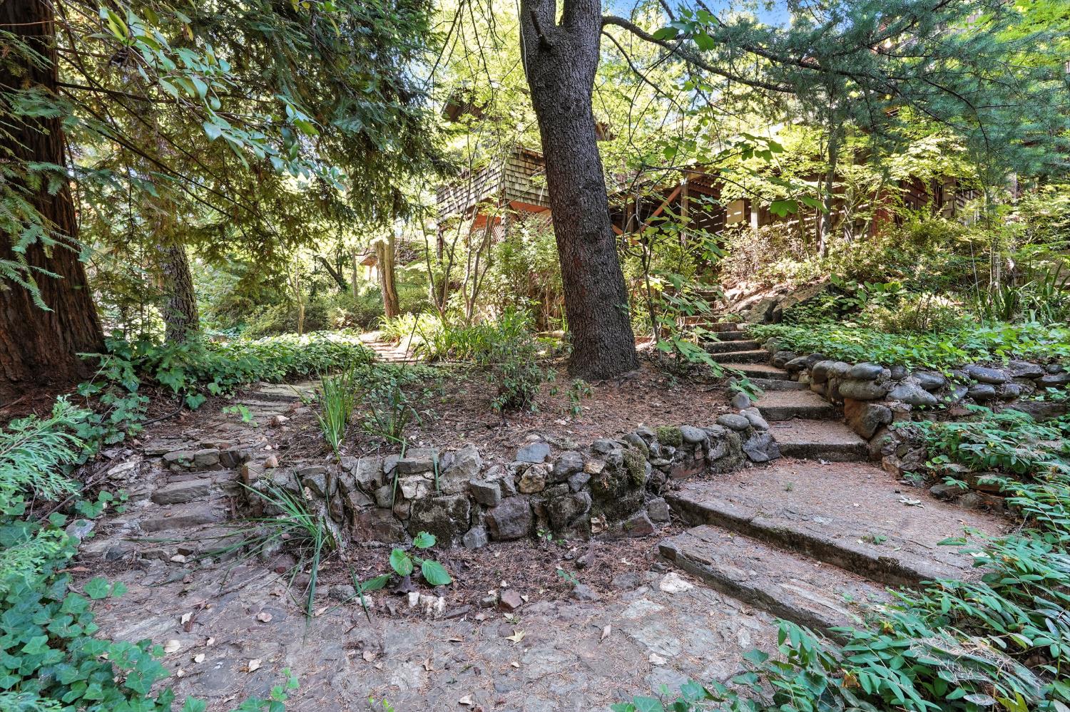 Auburn, California, 95603, United States, 3 Bedrooms Bedrooms, ,3 BathroomsBathrooms,Residential,For Sale,1955414