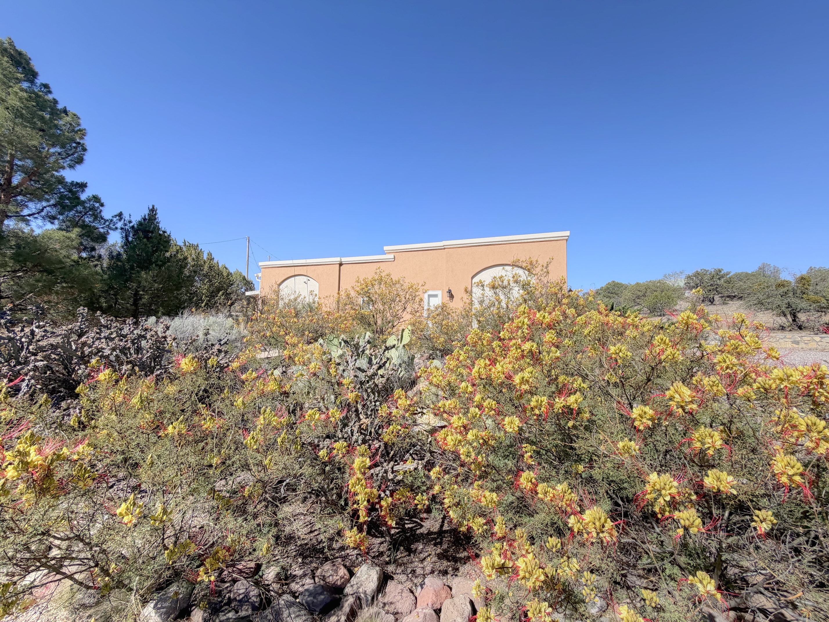 Silver City, New Mexico, 88061, United States, 3 Bedrooms Bedrooms, ,2 BathroomsBathrooms,Residential,For Sale,2049304