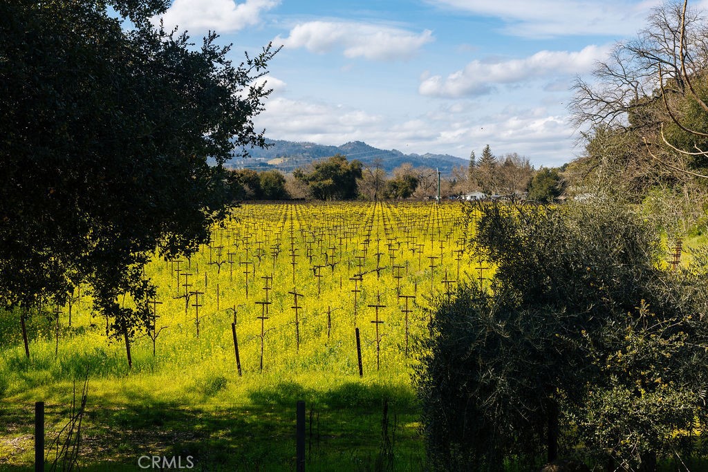 St. Helena, California, 94574, United States, 4 Bedrooms Bedrooms, ,3 BathroomsBathrooms,Residential,For Sale,1737795