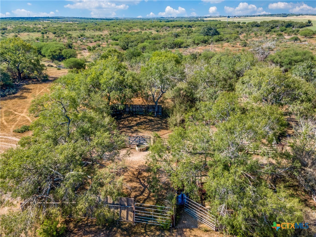 000 County Rd 145, Kenedy, Texas, 78119, United States, ,Land,For Sale,000 County Rd 145,1627629