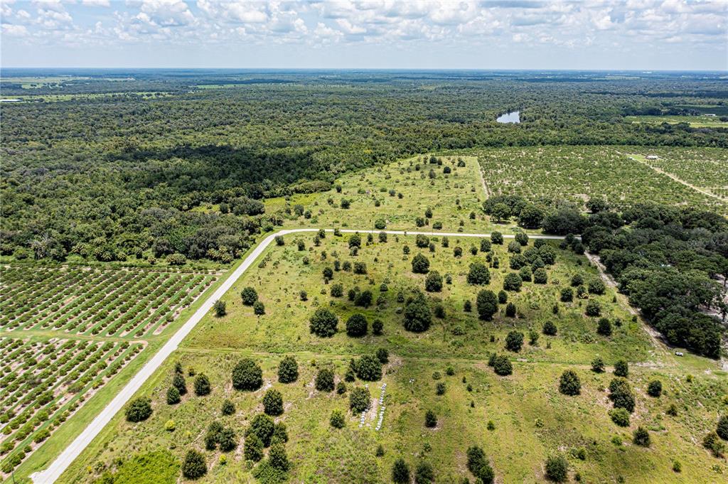 Arcadia, Florida, 34269, United States, ,Land,For Sale,1997252