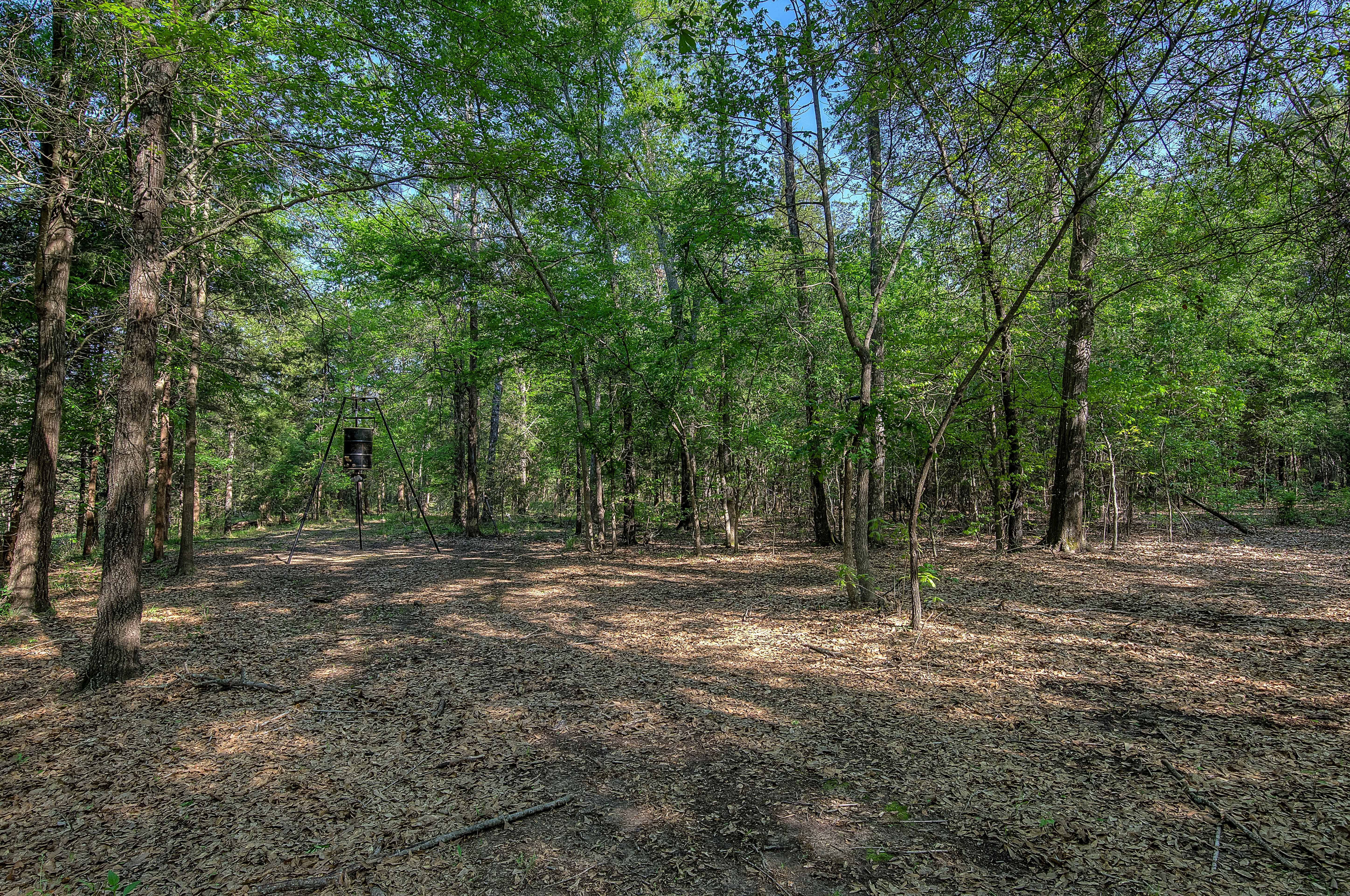Quitman, Texas, 75783, United States, 3 Bedrooms Bedrooms, ,3 BathroomsBathrooms,Residential,For Sale,1693379