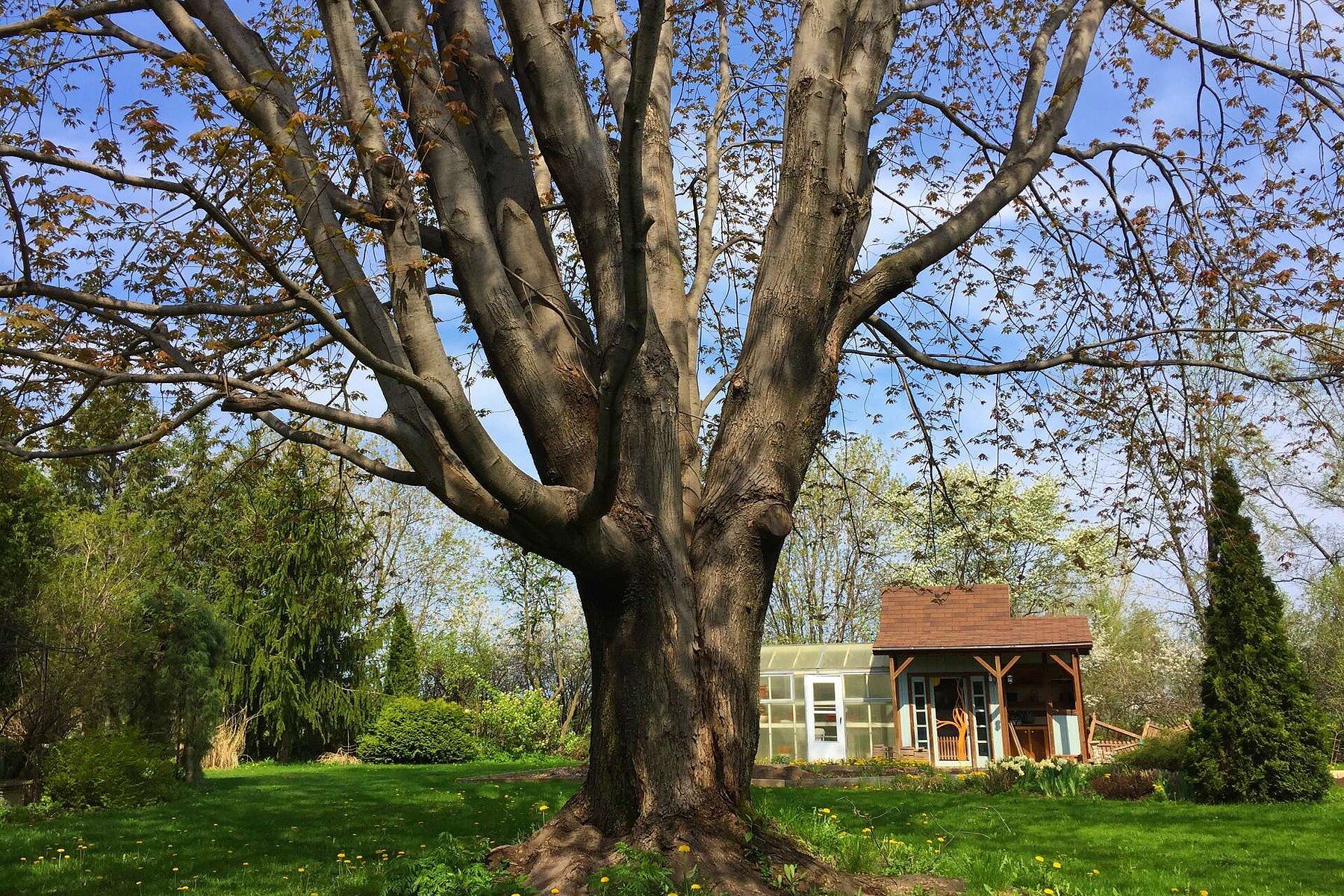  Saint-Jacques, Lanaudière - 物件實景