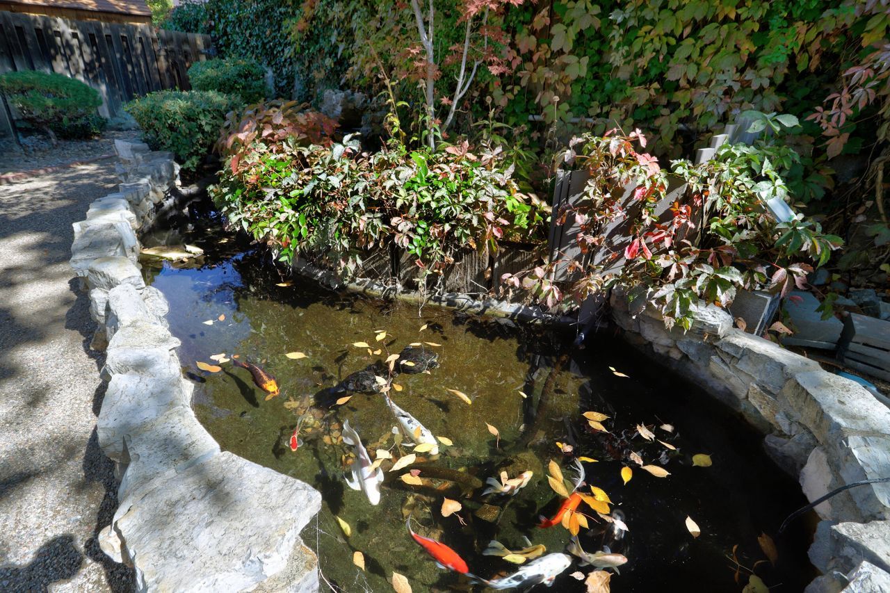 Albuquerque, New Mexico, 87109, United States, 3 Bedrooms Bedrooms, ,2 BathroomsBathrooms,Residential,For Sale,1970337