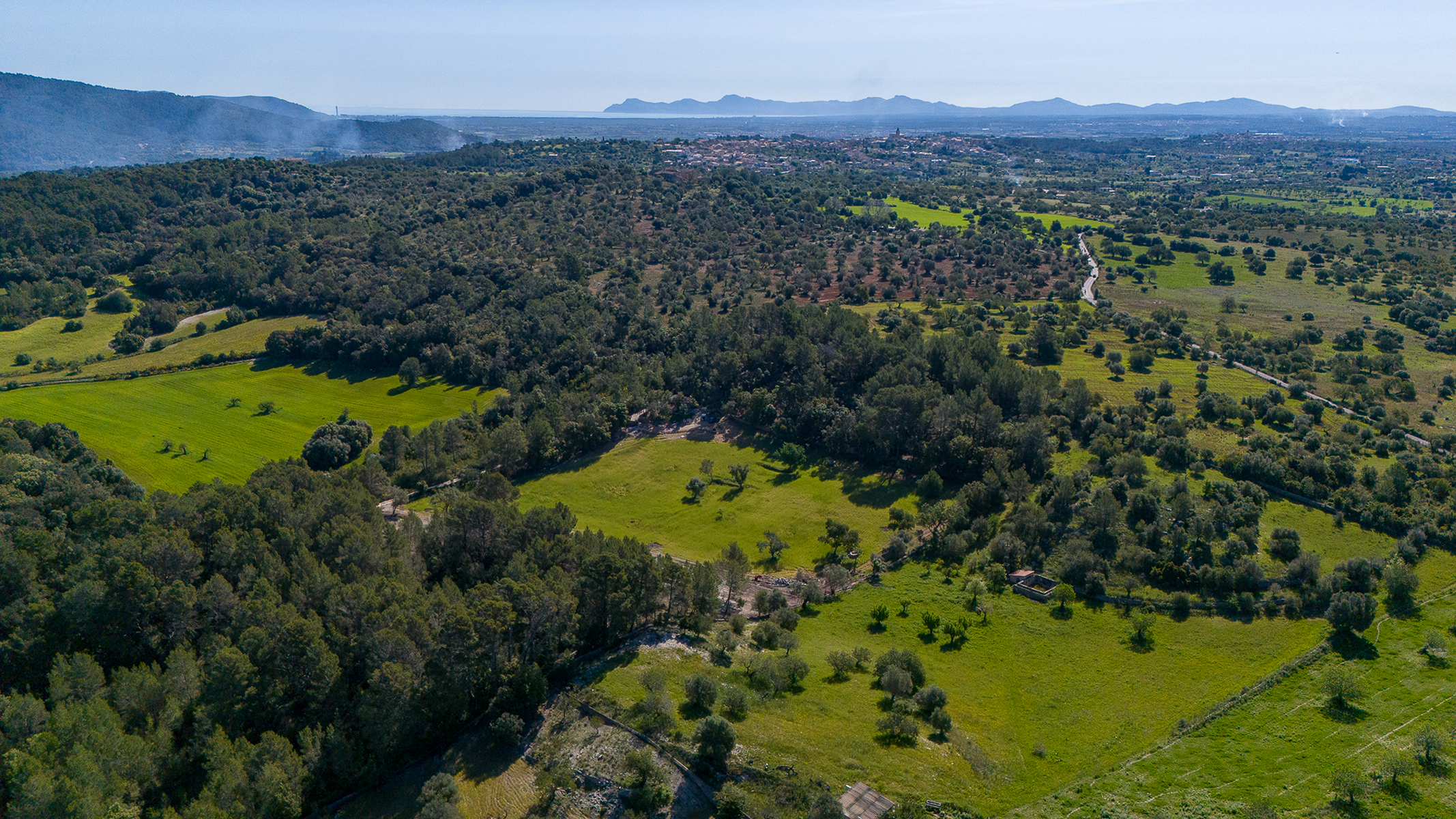  Plot with mountain views near Campanet - 物件實景