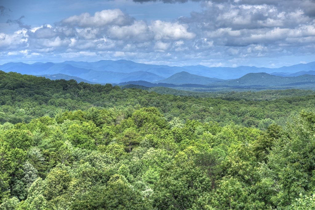 Mineral Bluff, Georgia, 30559, United States, 4 Bedrooms Bedrooms, ,4 BathroomsBathrooms,Residential,For Sale,1871299