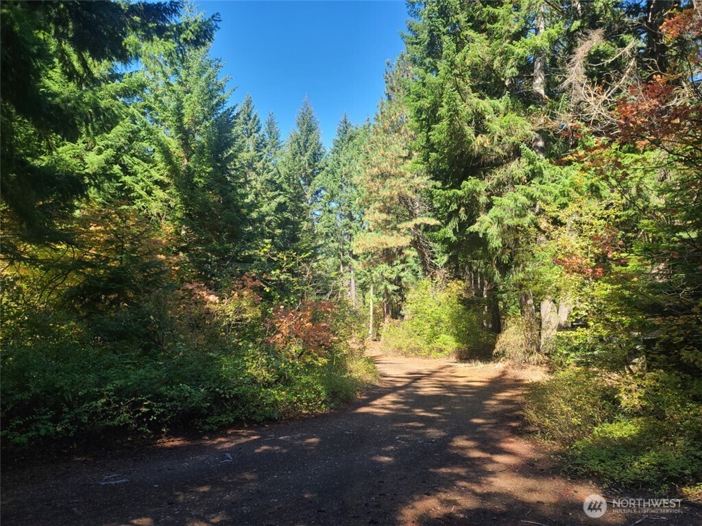 Cle Elum, Washington, 98922, United States, 1 Bedroom Bedrooms, ,1 BathroomBathrooms,Residential,For Sale,1901684